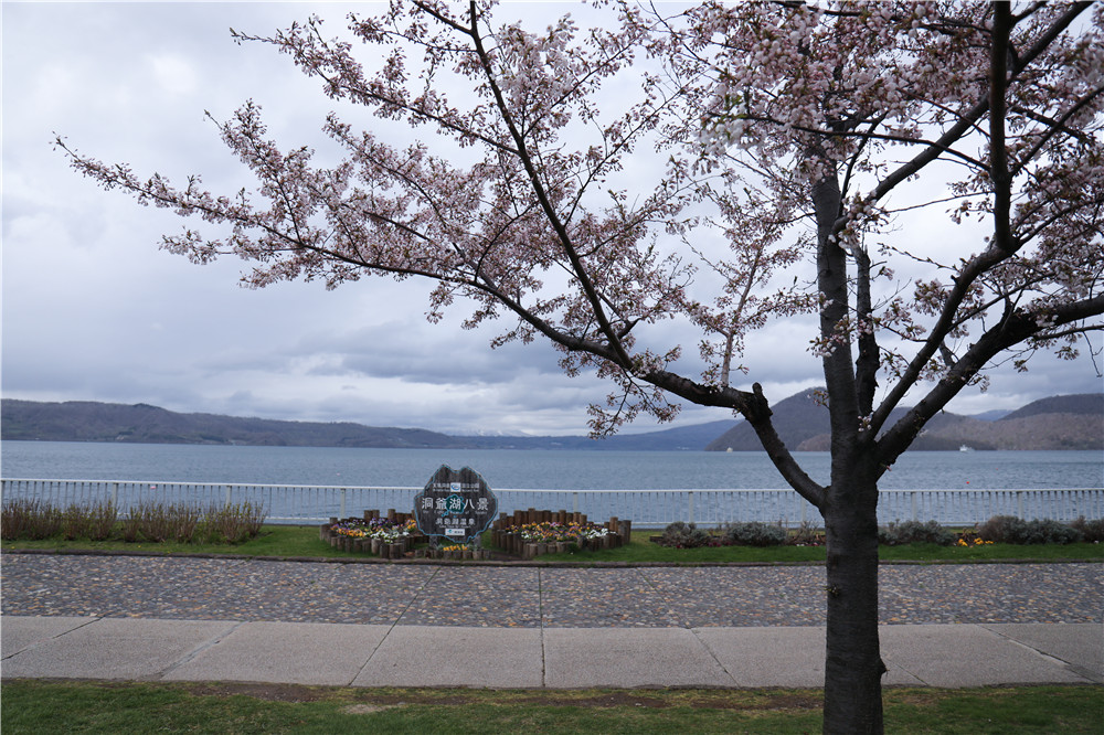 北海道自助遊攻略