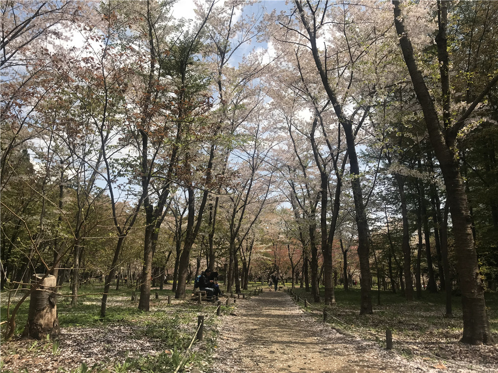 北海道自助遊攻略