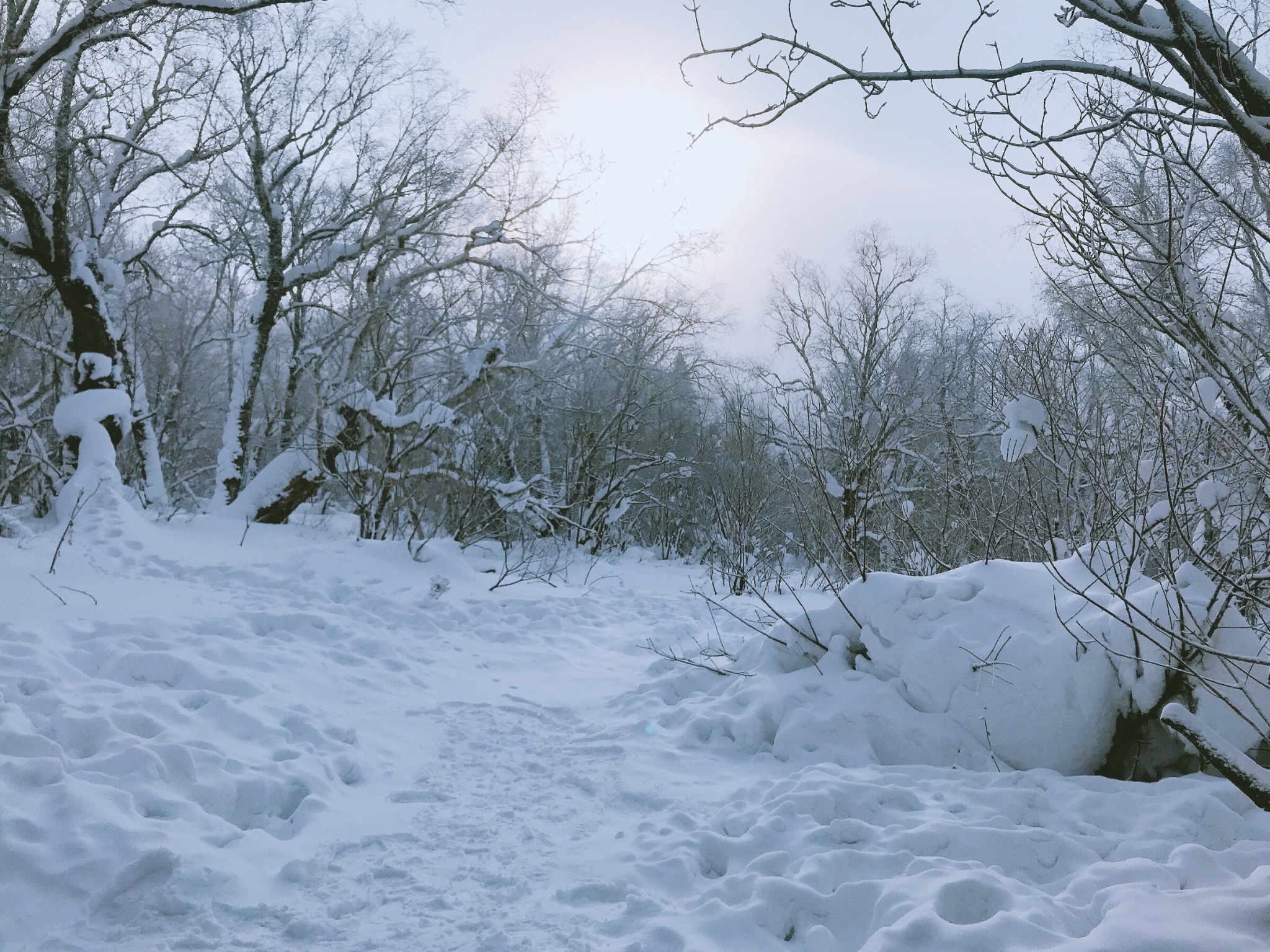 雪鄉自助遊攻略