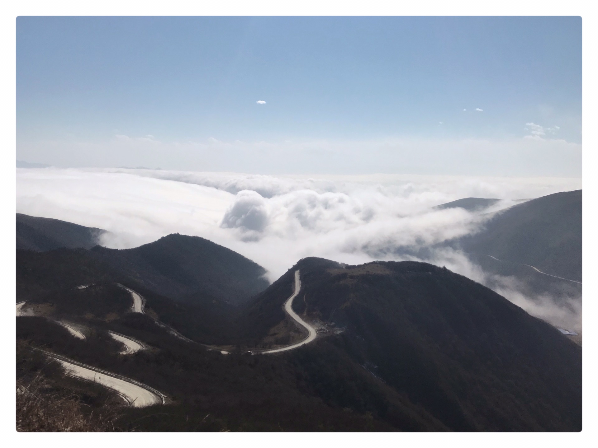 2019春節我迷失在轎頂山的雲海裡了