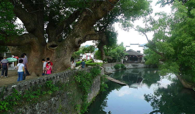  前往遊覽田園人家——【嚴田景區