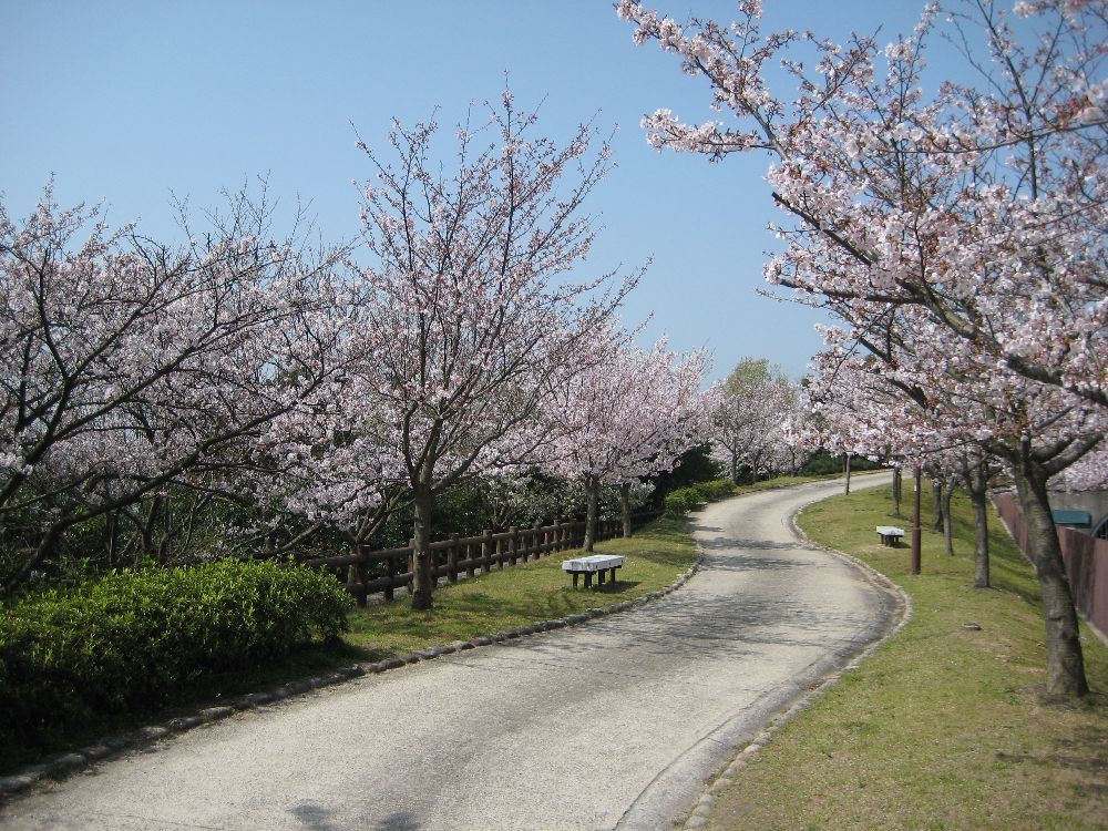 须磨寺攻略 须磨寺门票 地址 须磨寺景点攻略 马蜂窝