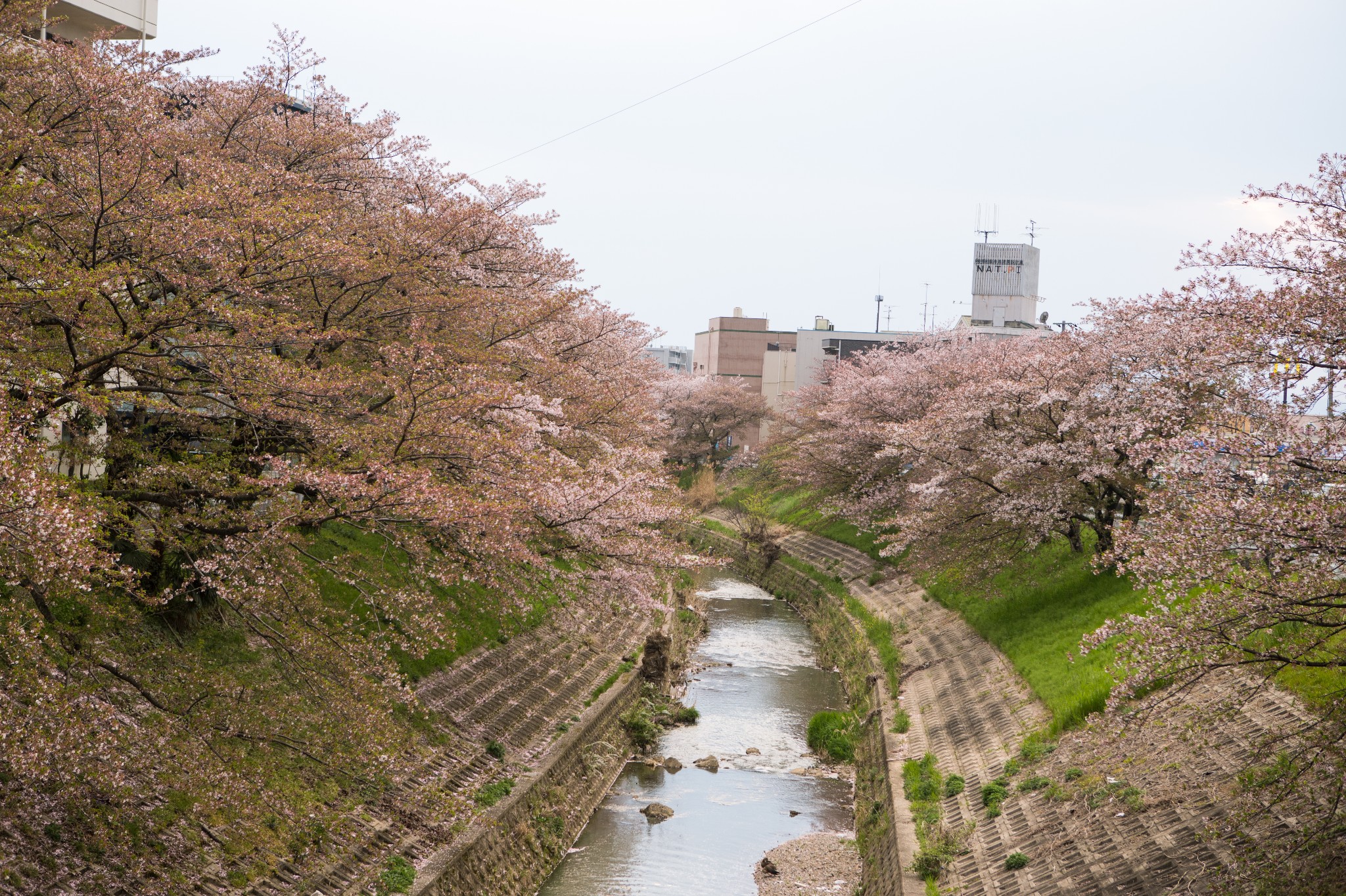 和歌山市自助遊攻略