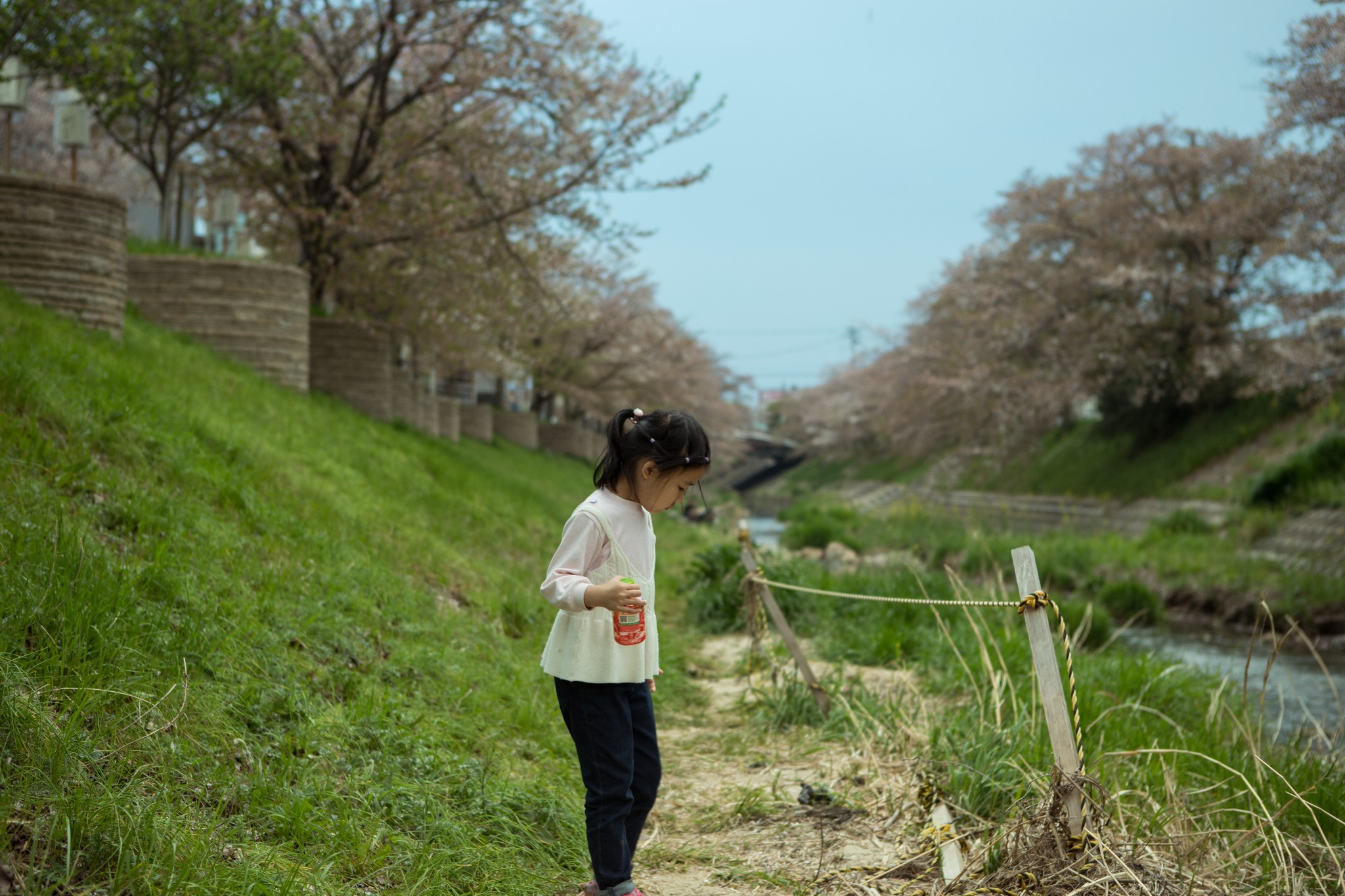 和歌山市自助遊攻略