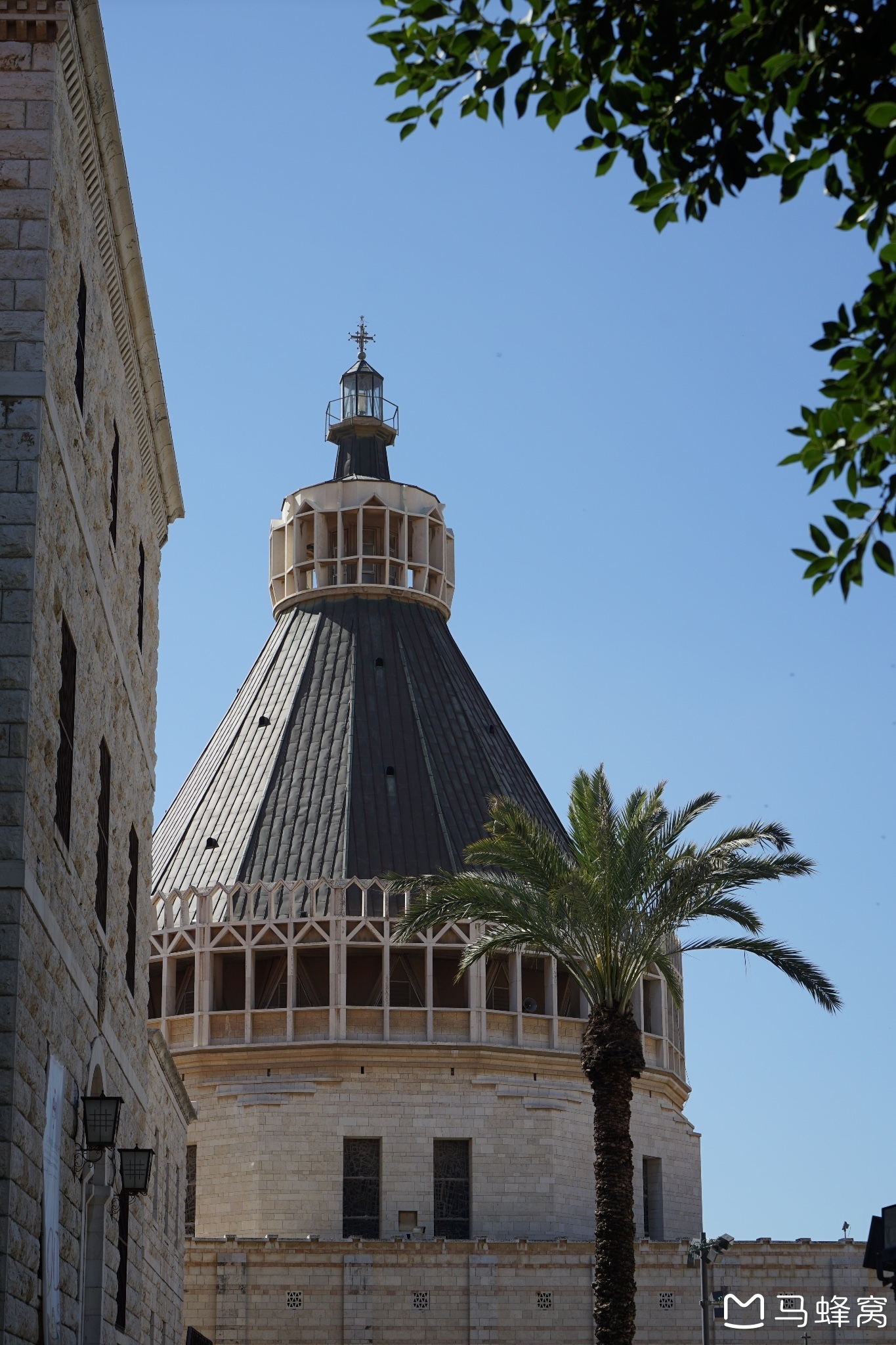 犹大树花开,迦南地游来,以色列自助游攻略 - 马蜂窝