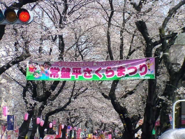 Tokiwadaira樱花大道