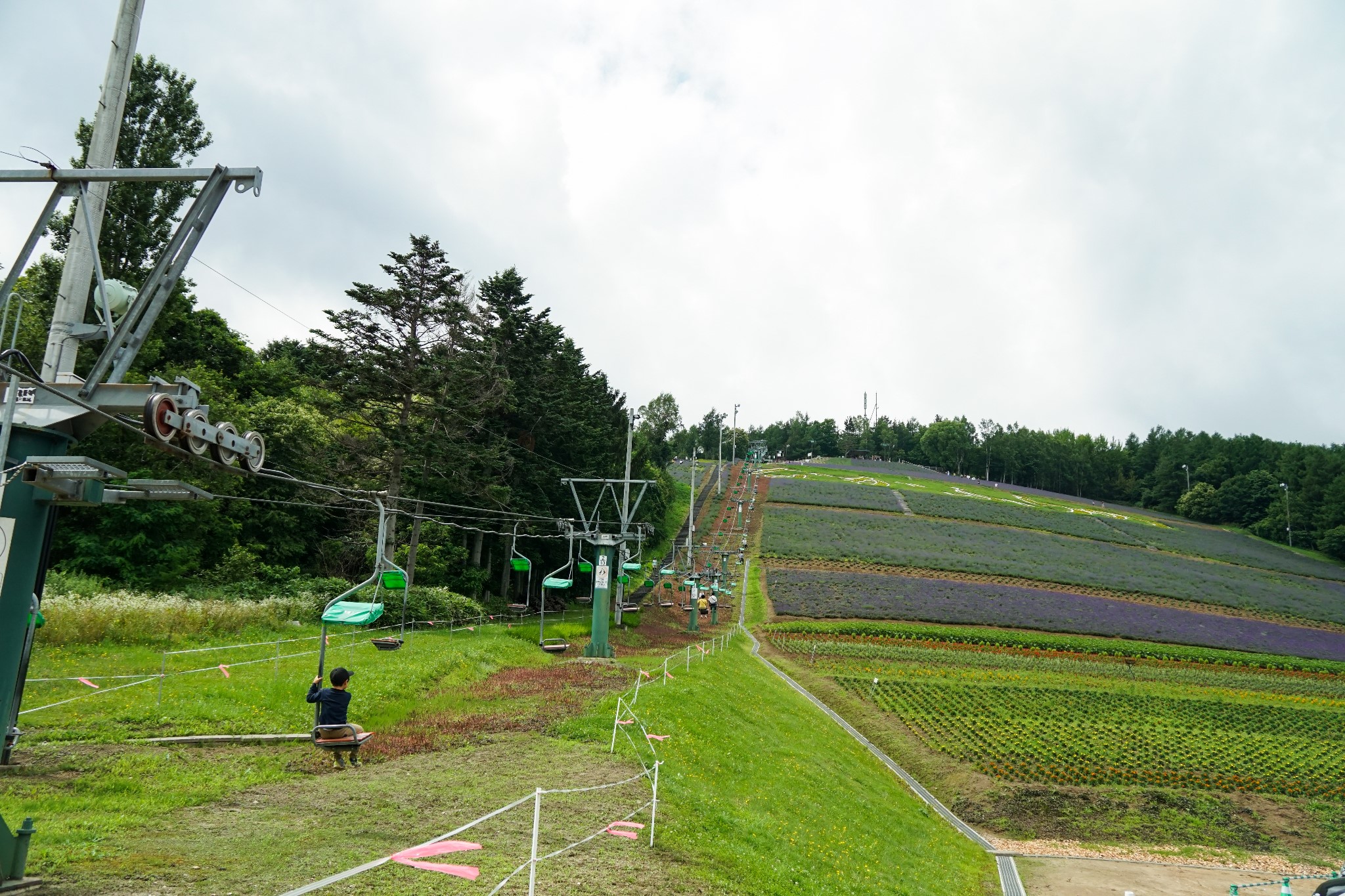 北海道自助遊攻略