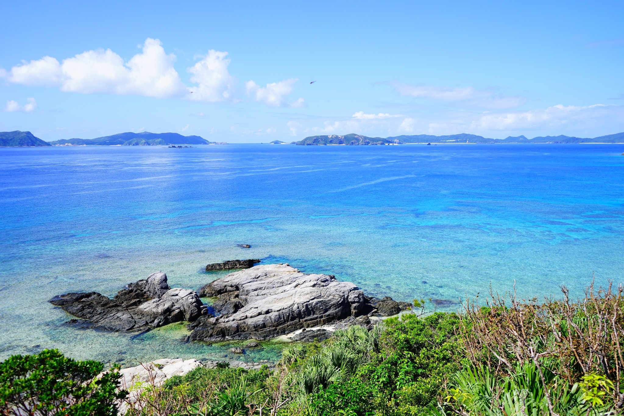 岛歌啊,乘着风,把我的泪也带走.