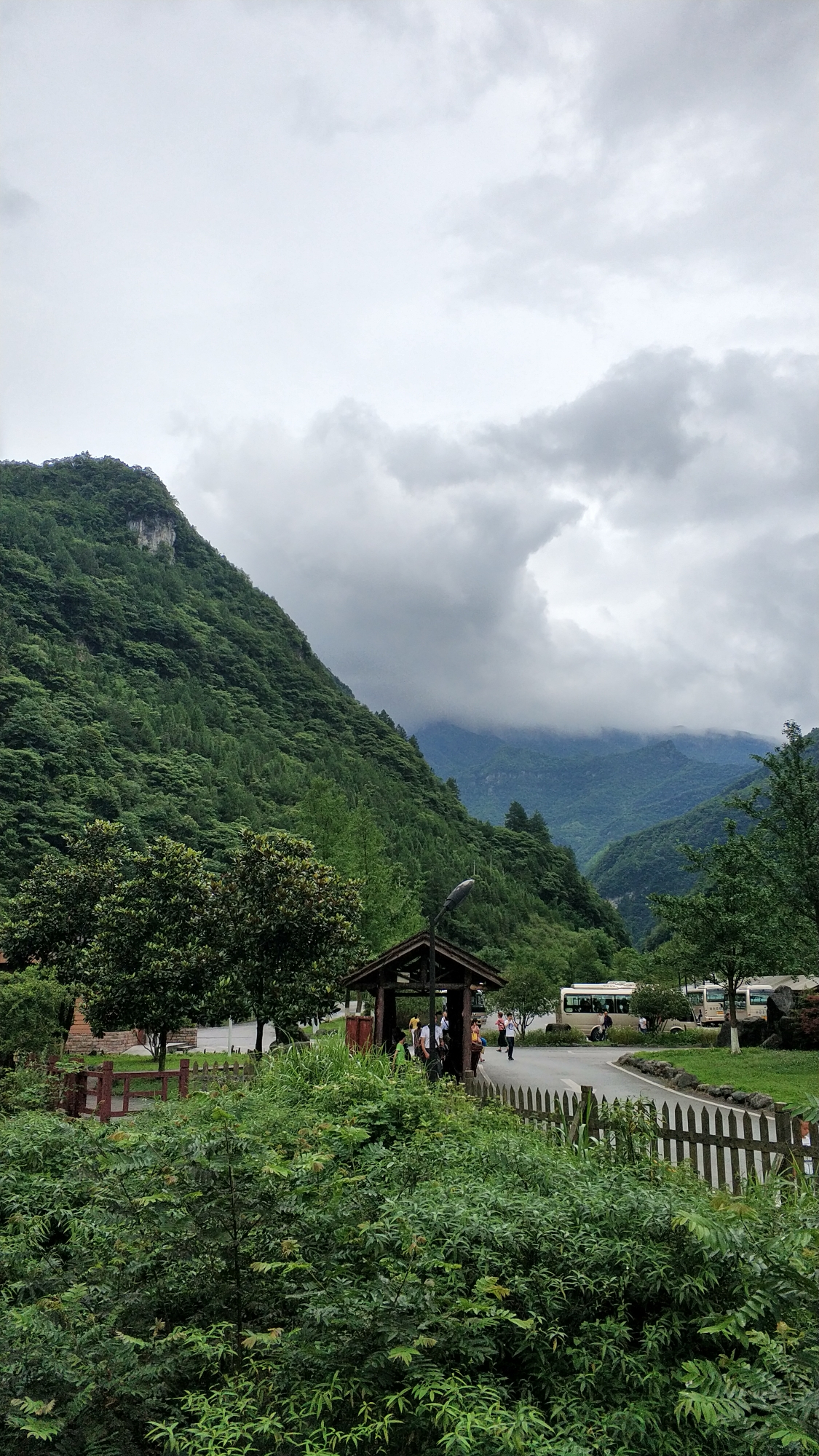 重庆南川金佛山,夏季正当时.