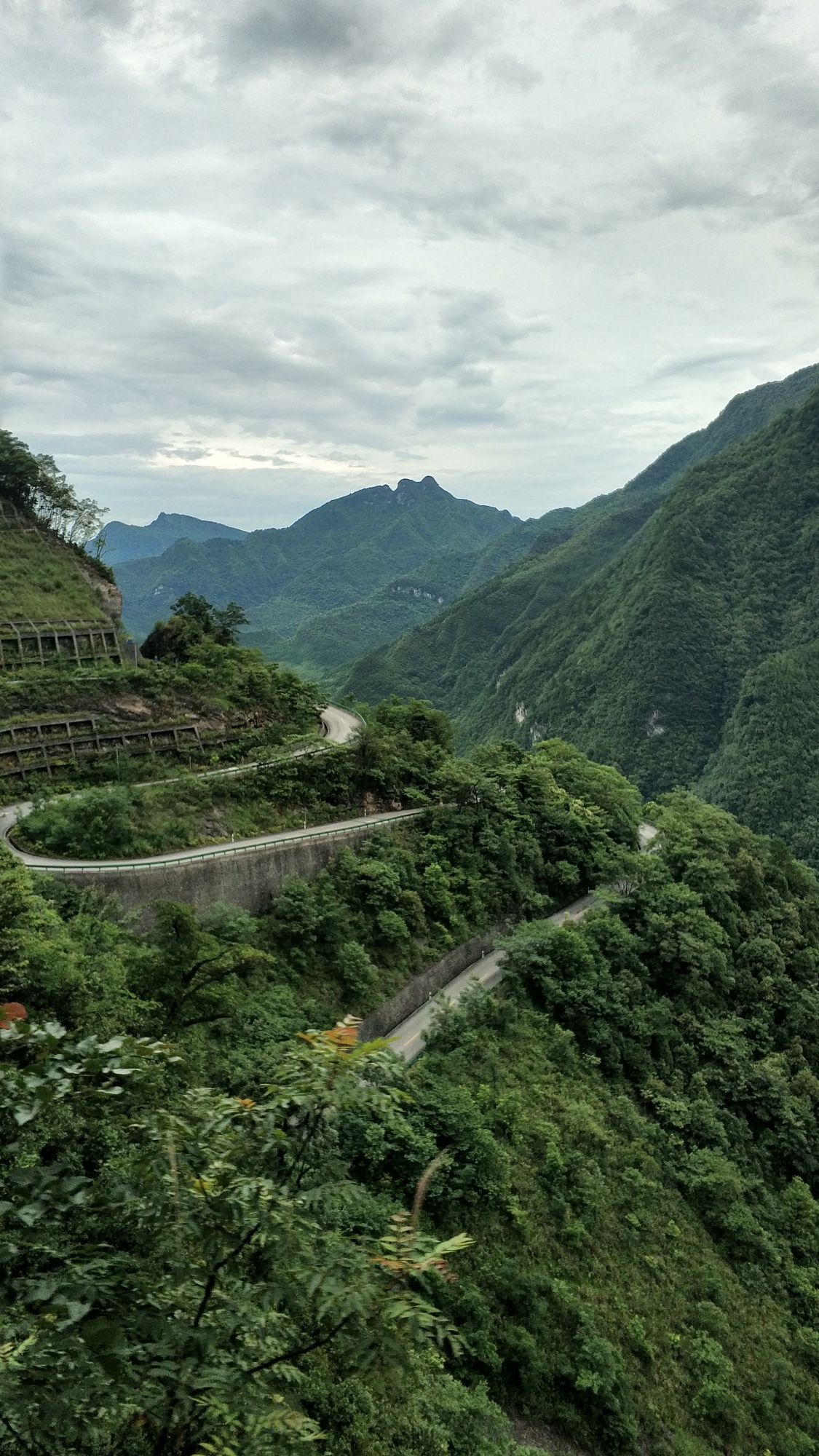 重庆南川金佛山,夏季正当时.