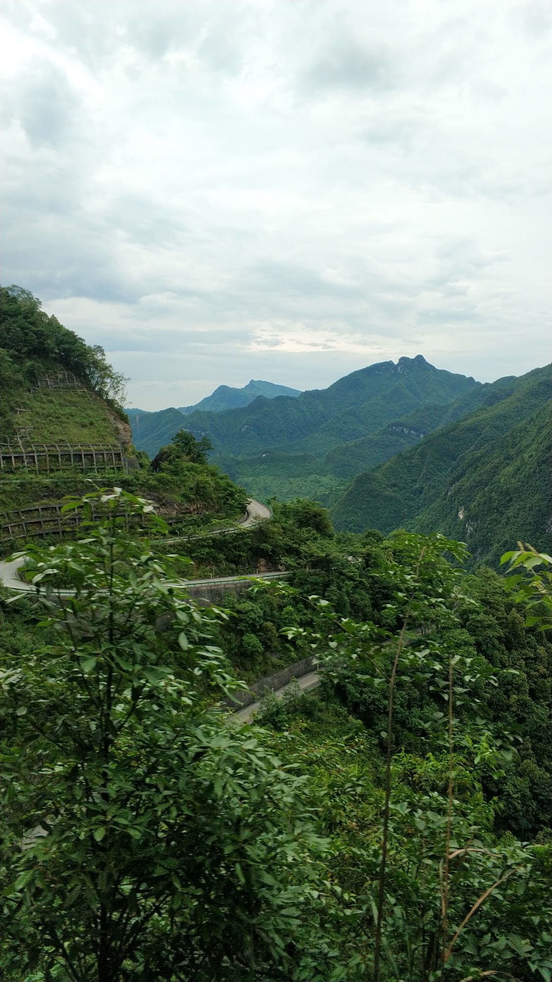 重庆南川金佛山,夏季正当时.