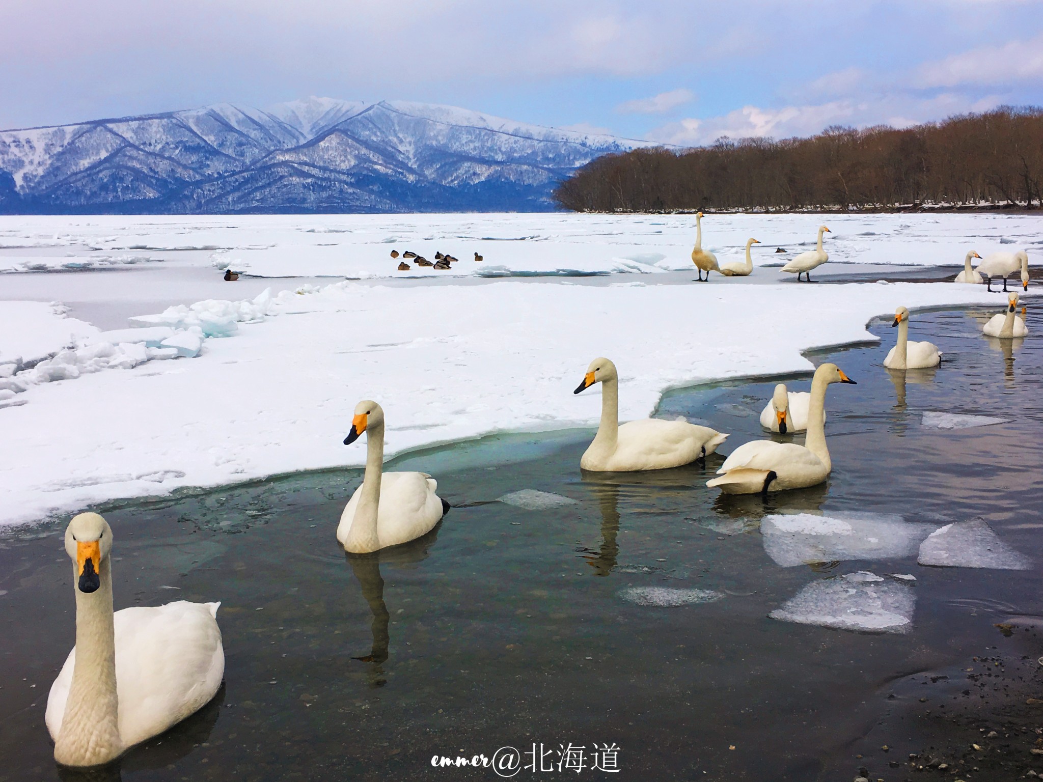 北海道自助遊攻略