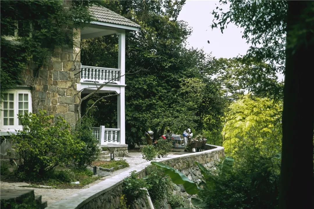 颐园丨莫干山的夏天溪水清凉西瓜清甜