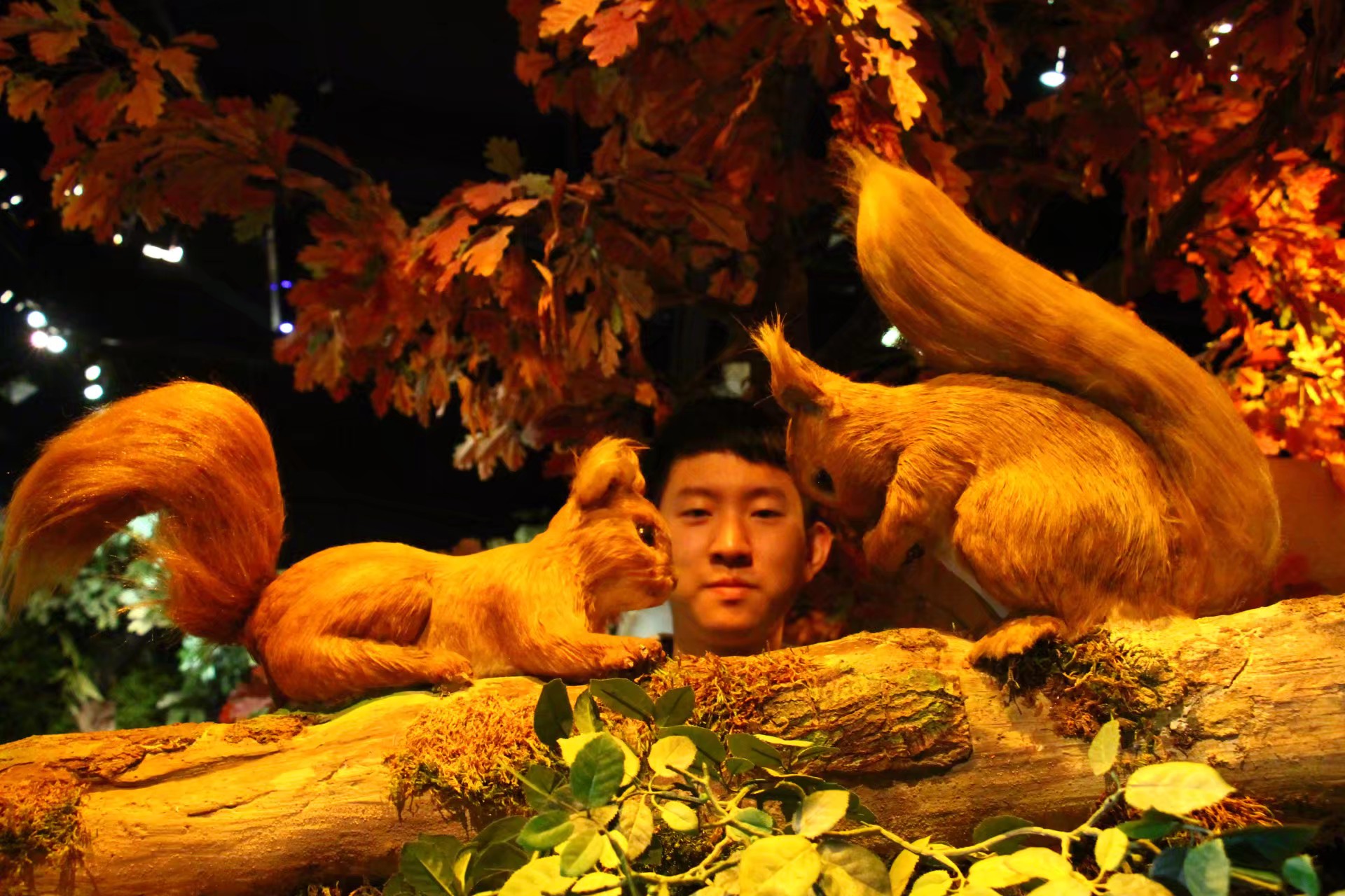 跨越半个地球 中国春节“圈粉”拉美