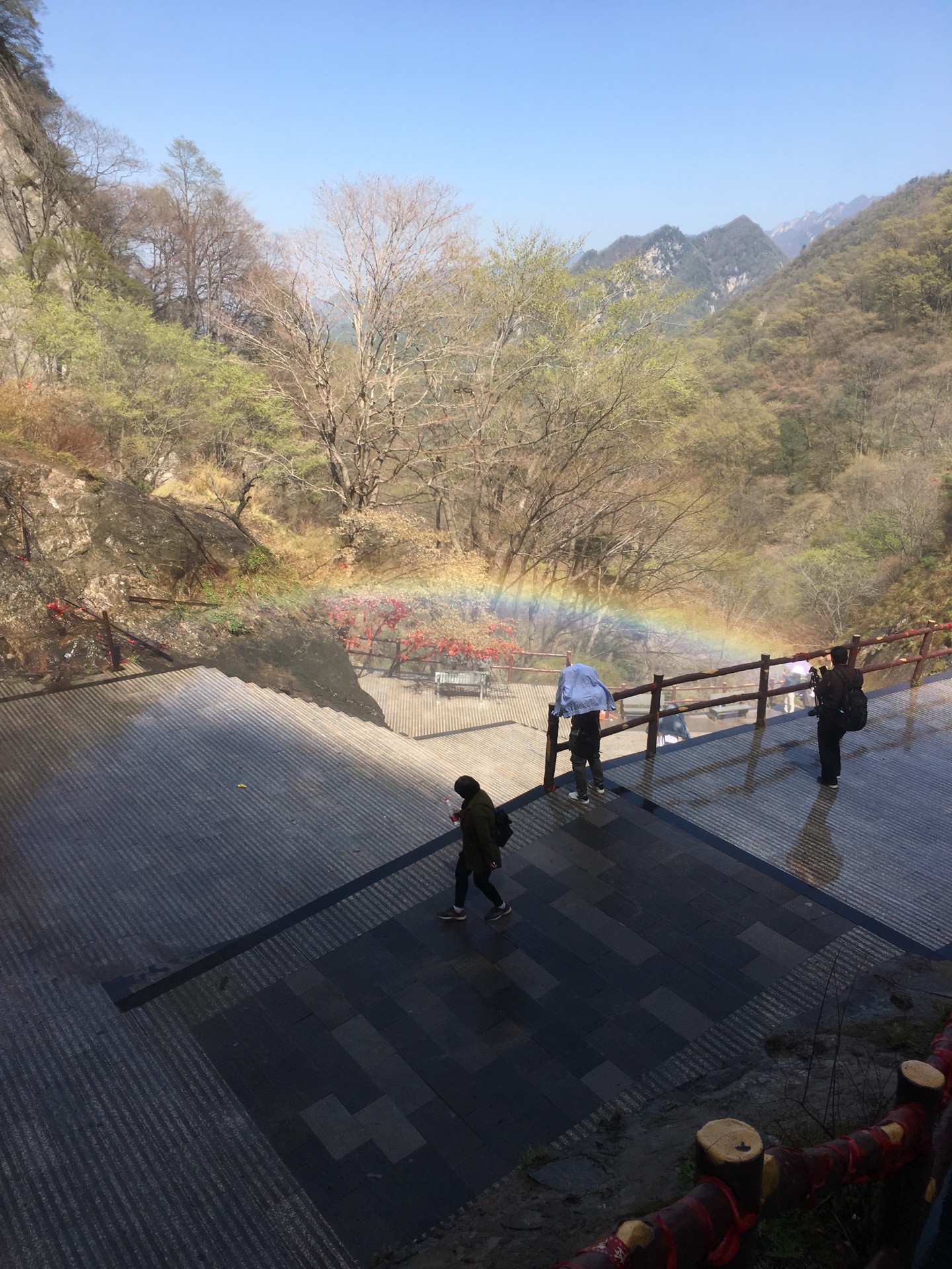 四月太平峪国家森林公园