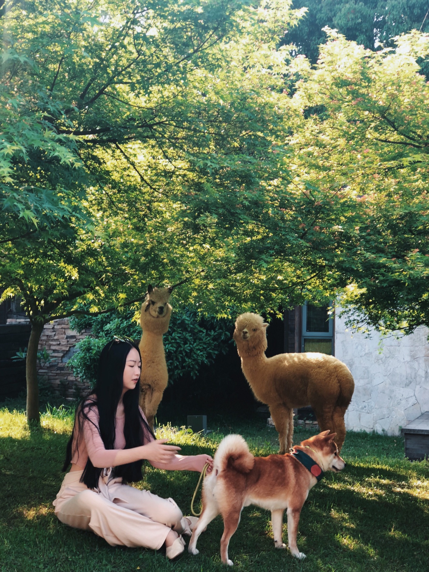 热土庄园素园餐厅