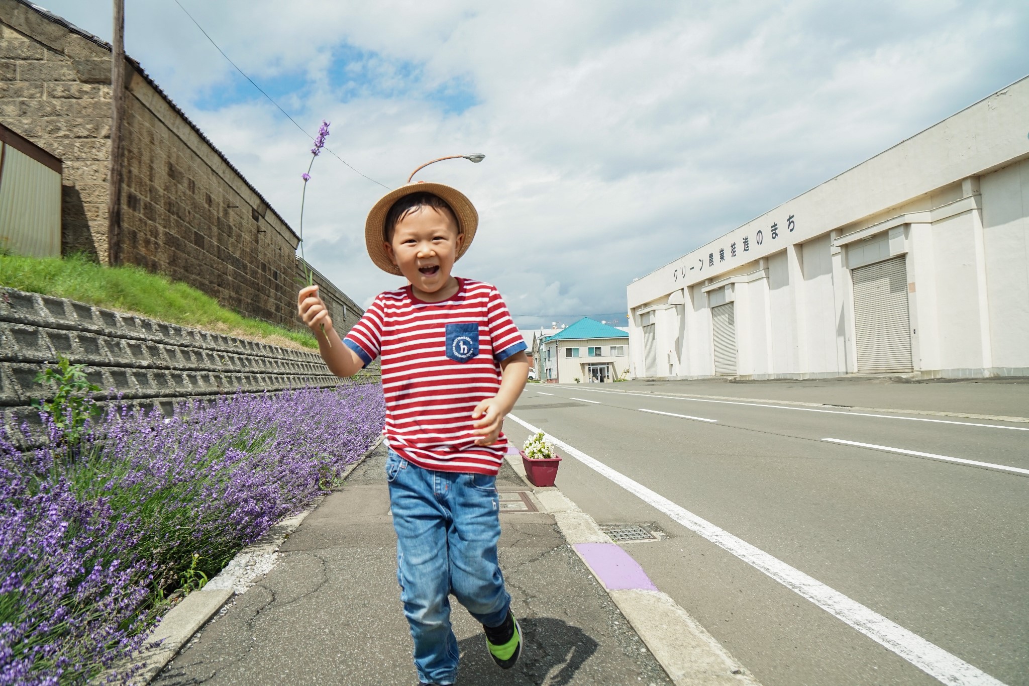 北海道自助遊攻略