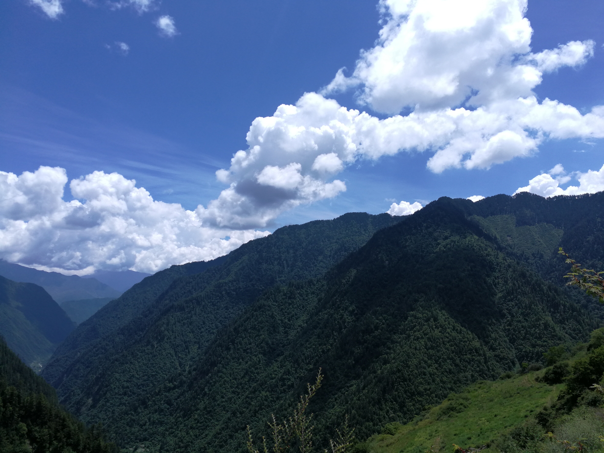 就這麼入了坑,可還行-丫巴寨圖片17,理縣旅遊景點,風景名勝 - 馬蜂窩