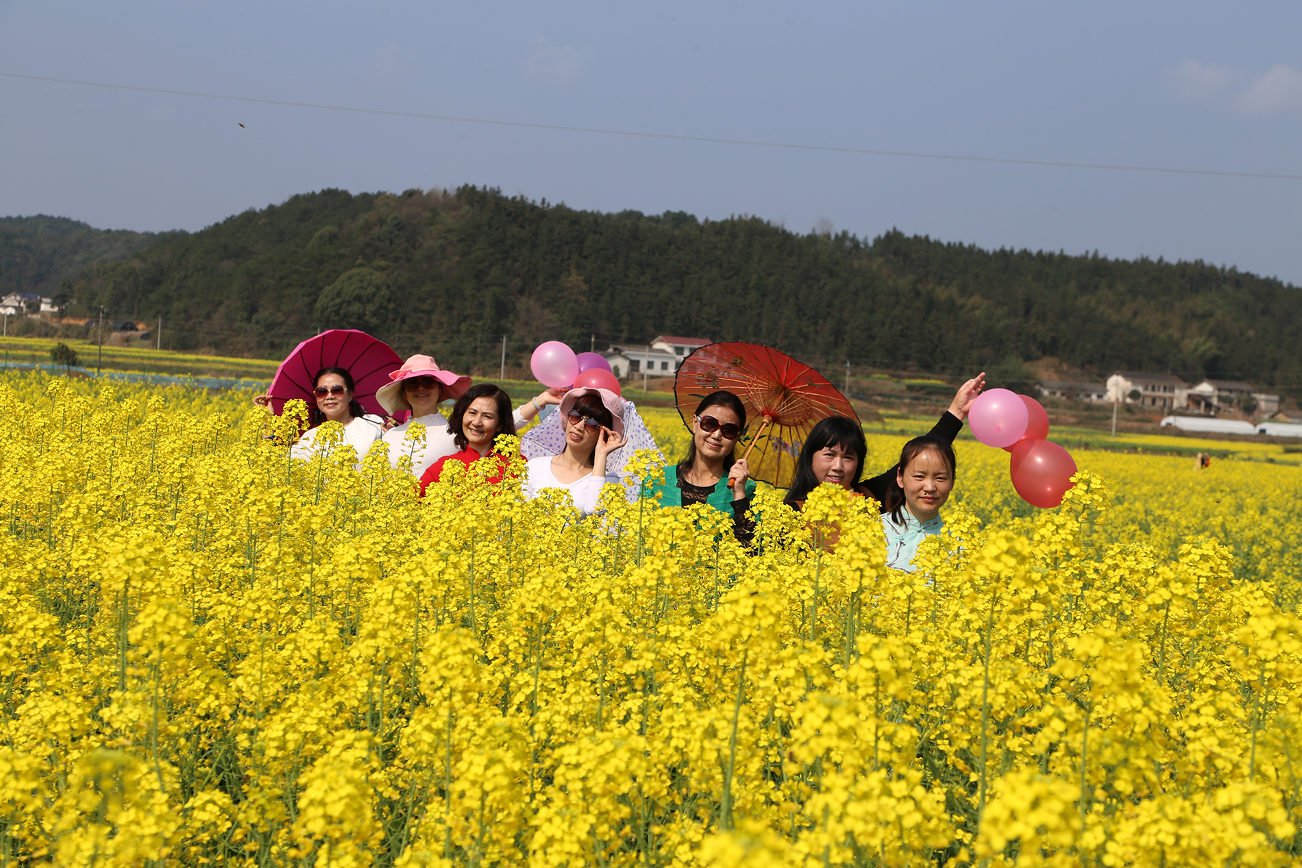走进春华邂逅最美洞田花海 —百熙村