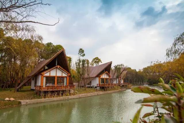 苏州临湖镇的这几家民宿,在湖光山色中惊艳了时光