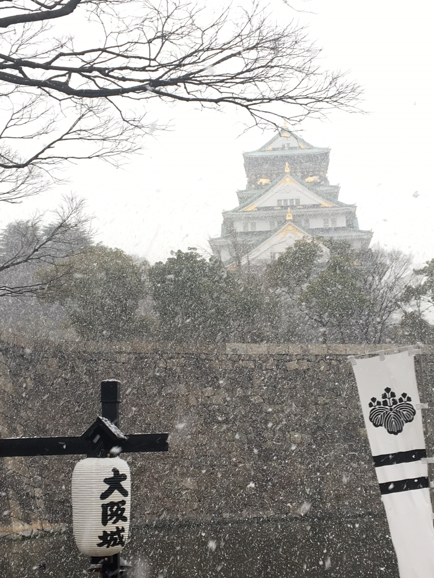 冬日的大阪 飘雪的京都 两只帝都大学狗 的寒假出行 七天六晚 慢慢更新 旅游攻略 马蜂窝