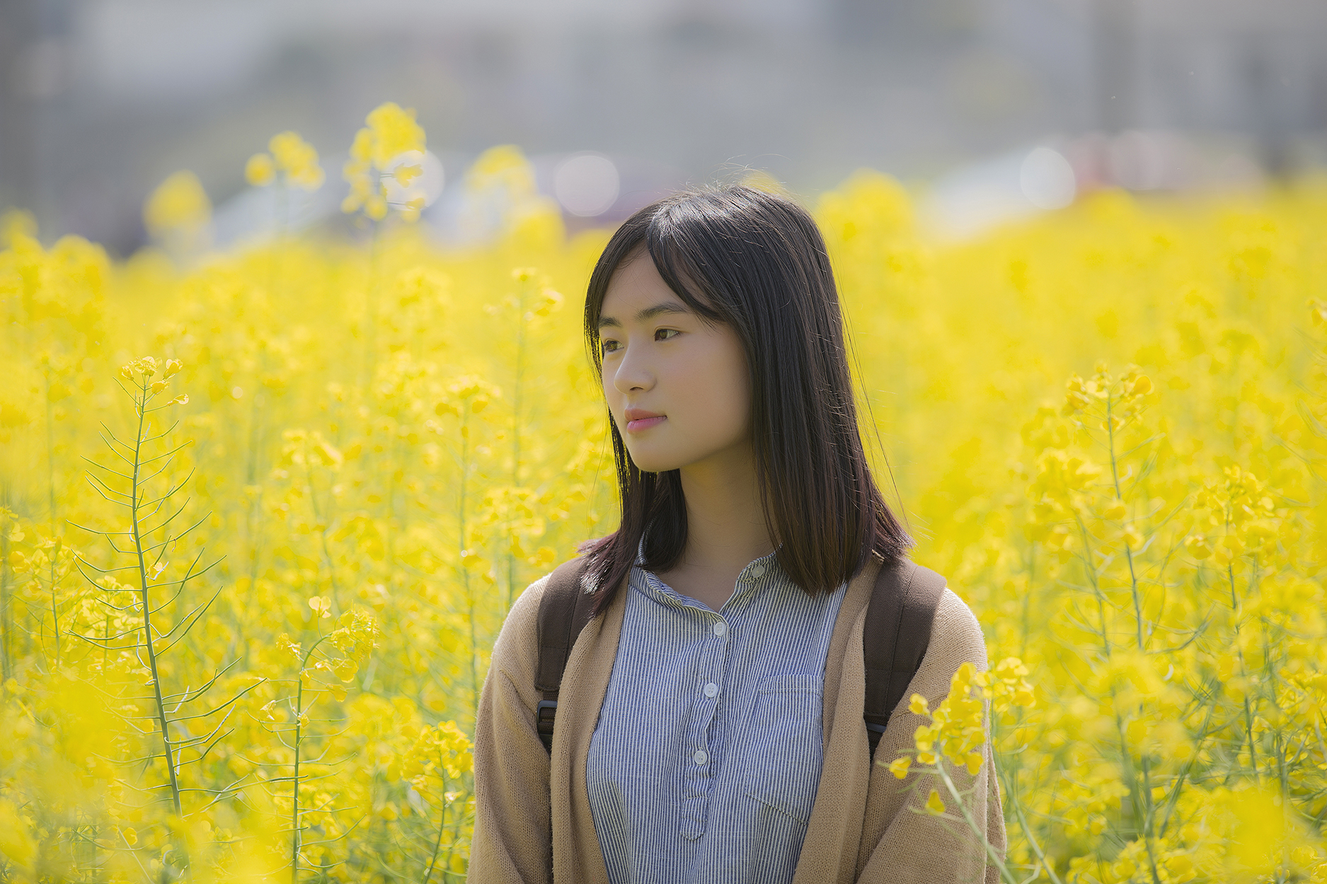 走进春华邂逅最美洞田花海 —百熙村