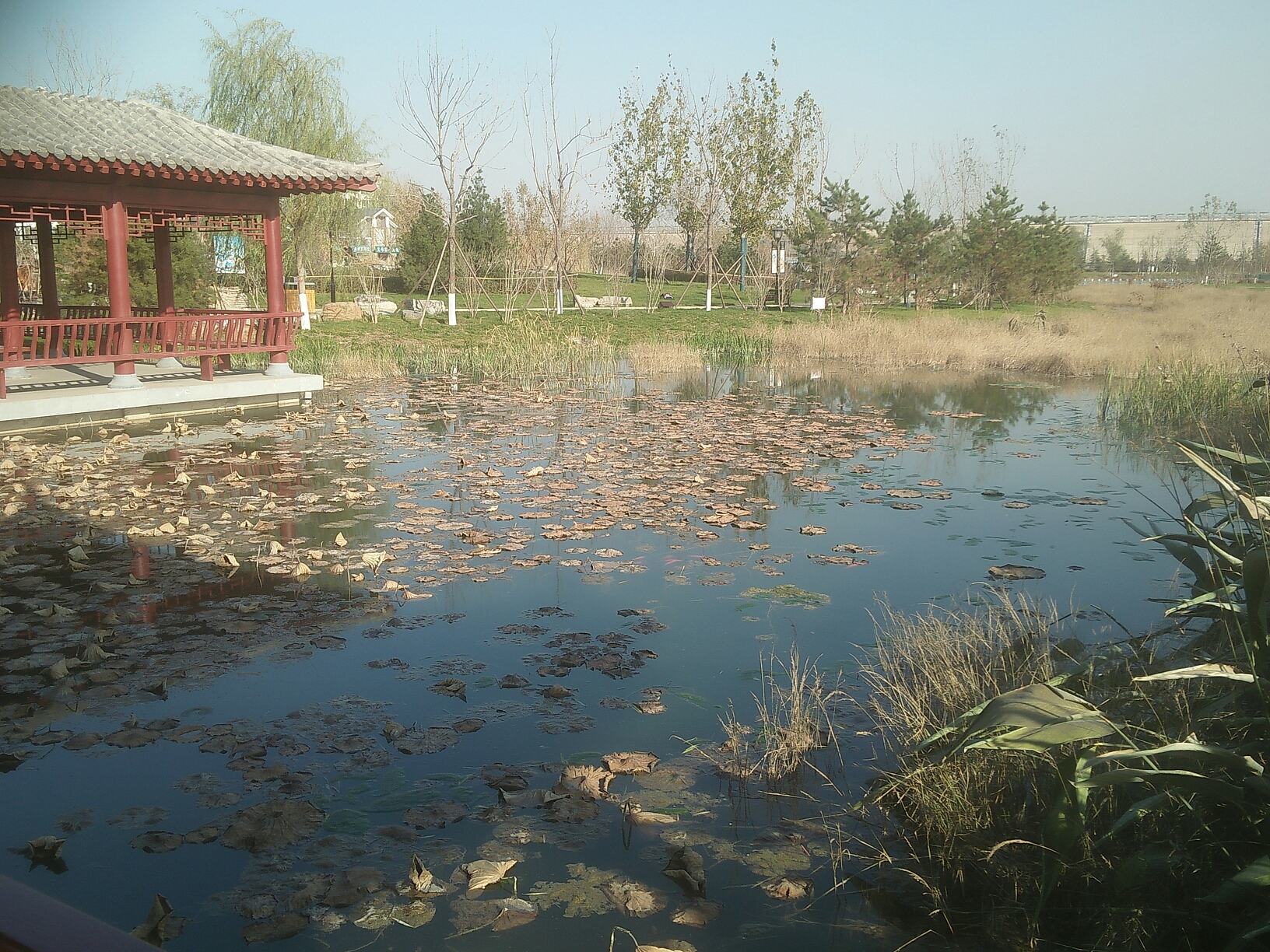 子龍大橋 滹沱河主題公園 音樂噴泉龍傳文博院本篇遊記共含1701個