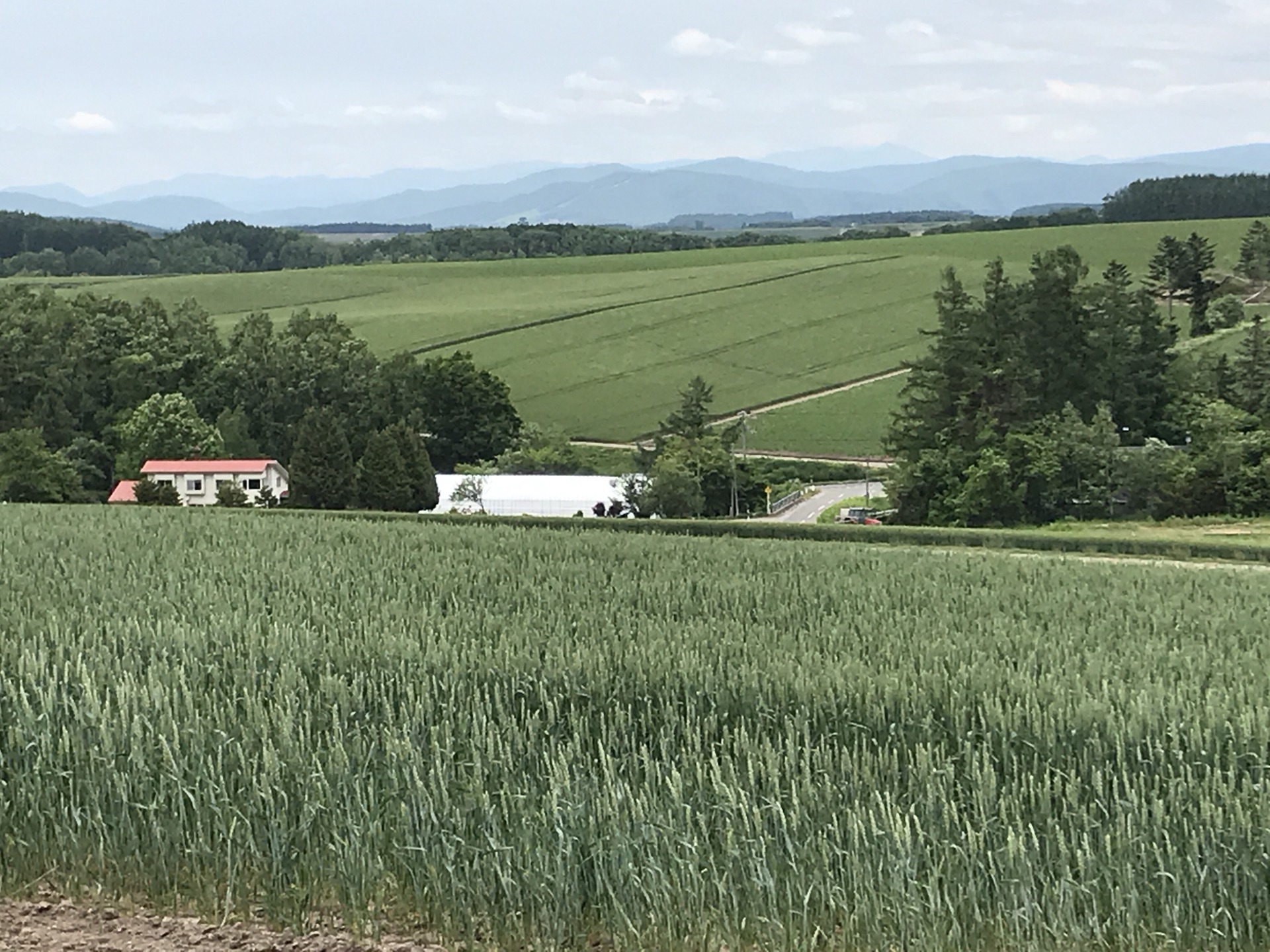 北海道自助遊攻略