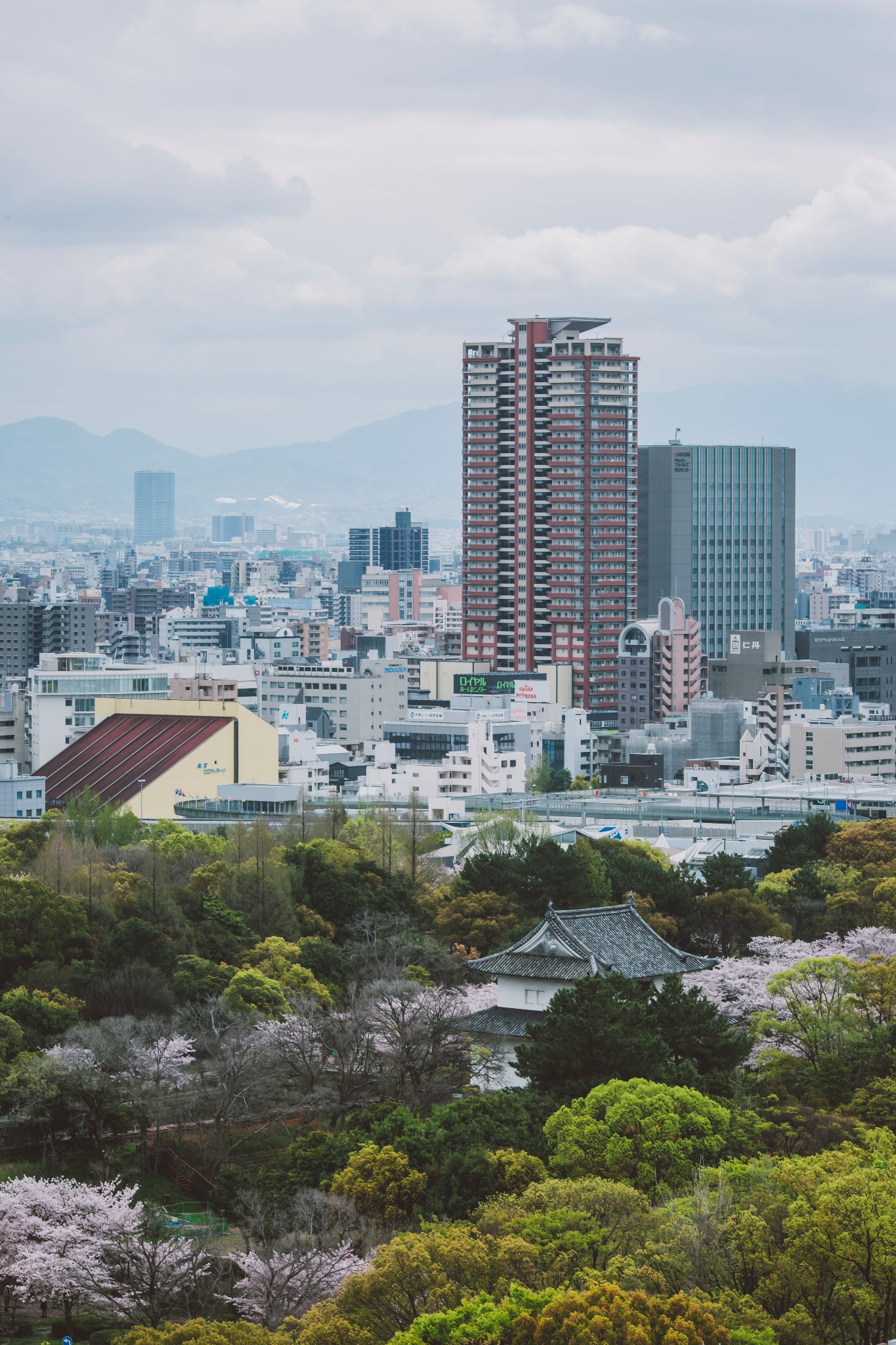 日本自助遊攻略