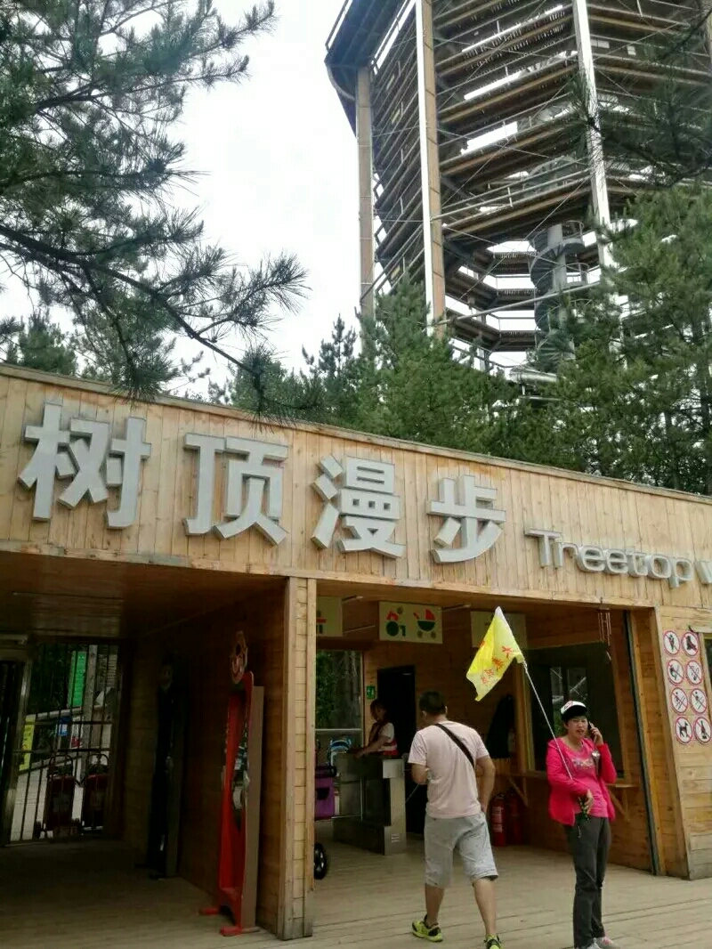 瓦子街景观——树顶漫步