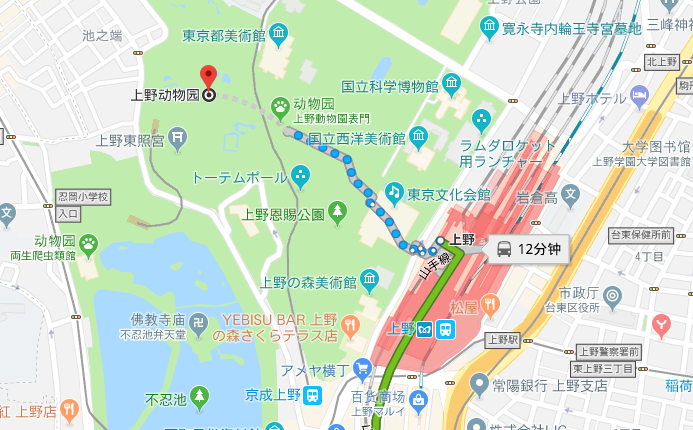 从东京站怎么去上野动物园 马蜂窝