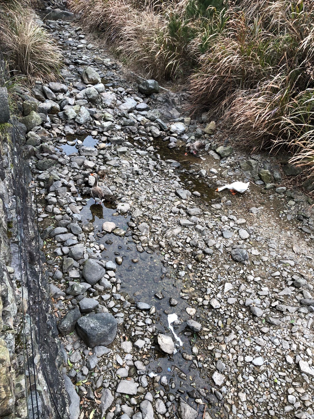 宁波宁海农家乐 · 大湾山寨