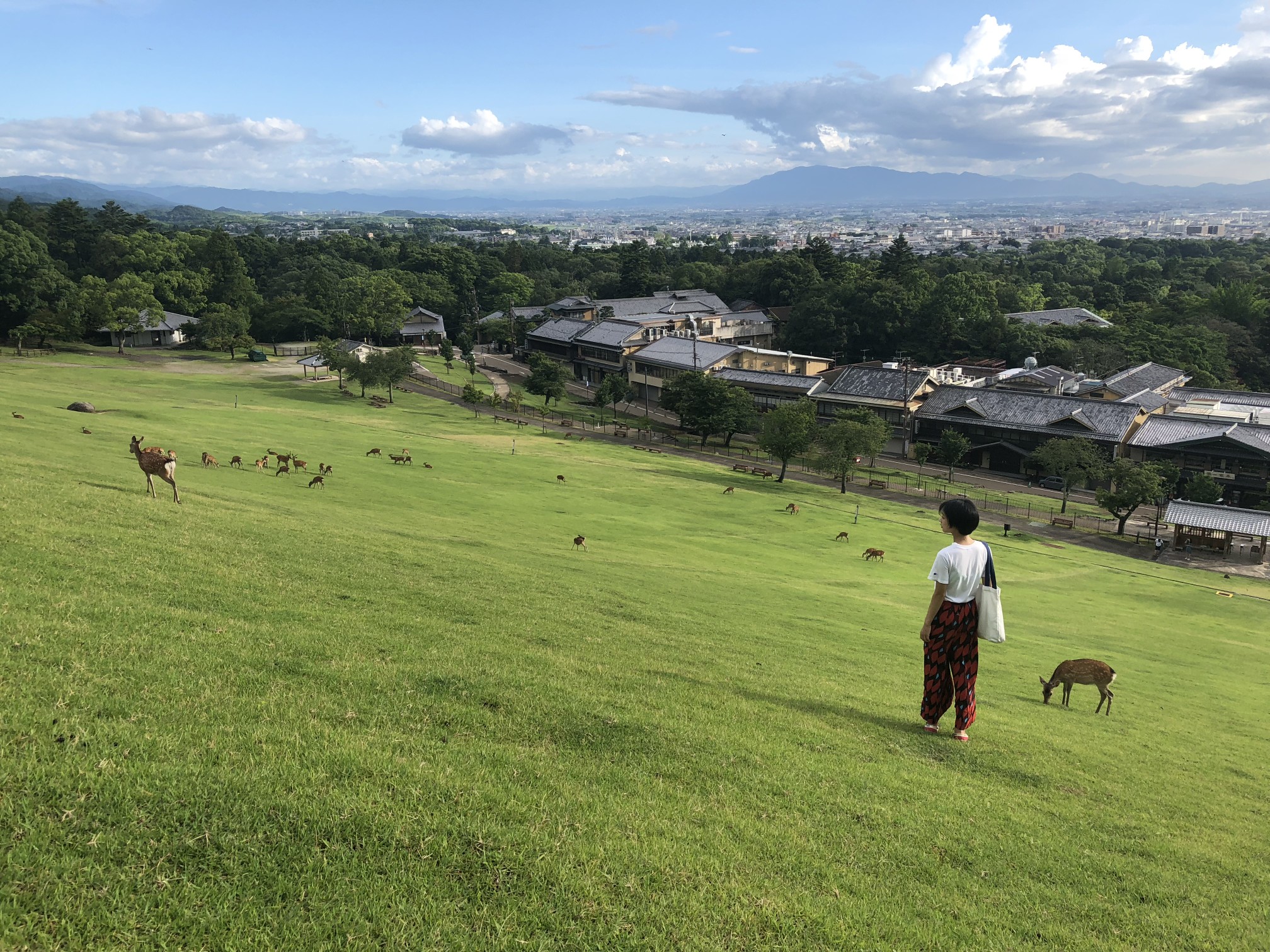 札幌自助遊攻略