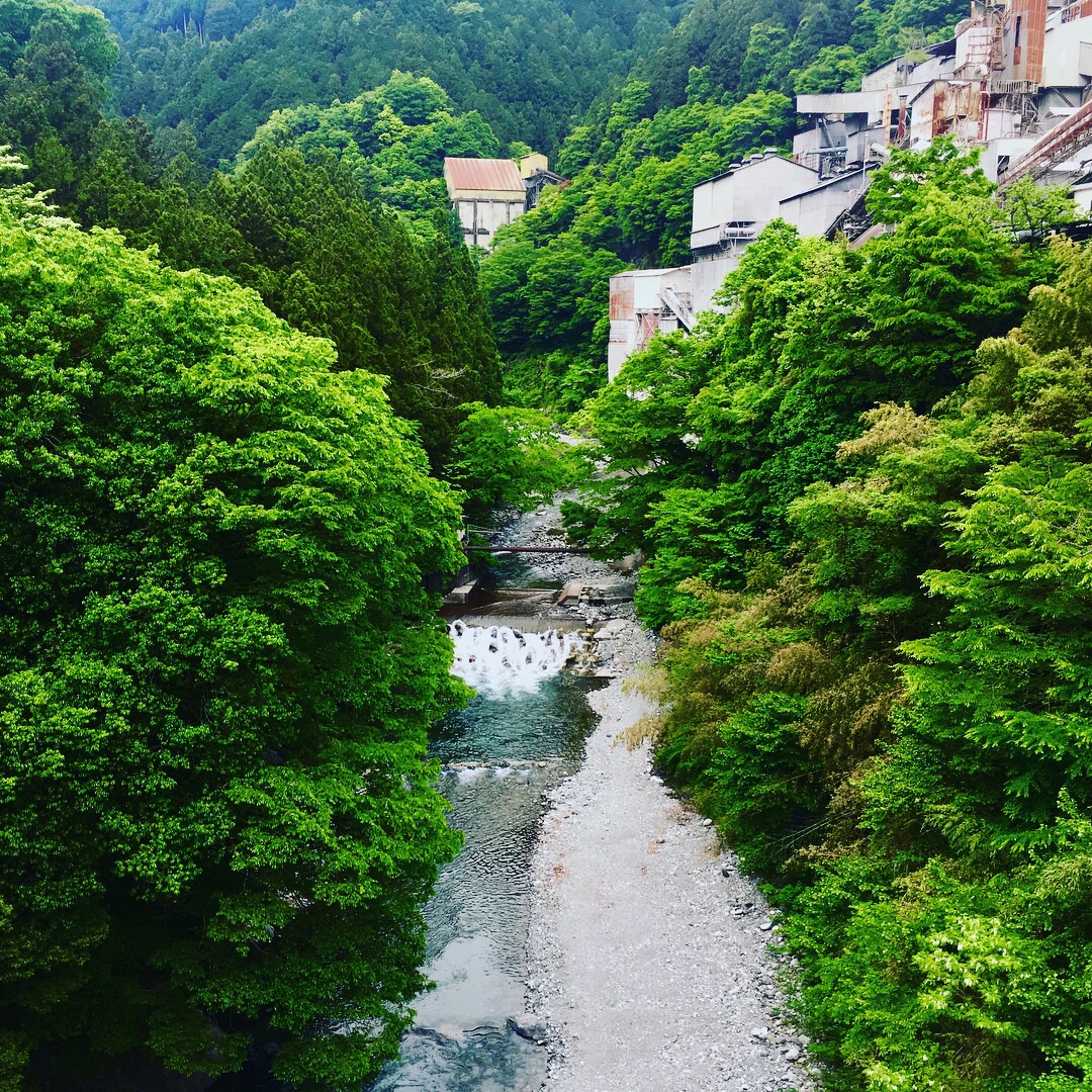 日本东京奥多摩秘境原始森林探访 御岳溪流钓鱼 旅游攻略 马蜂窝