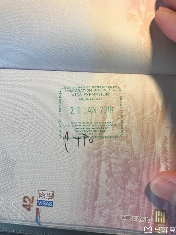 我想问一下关于印尼入境的事情