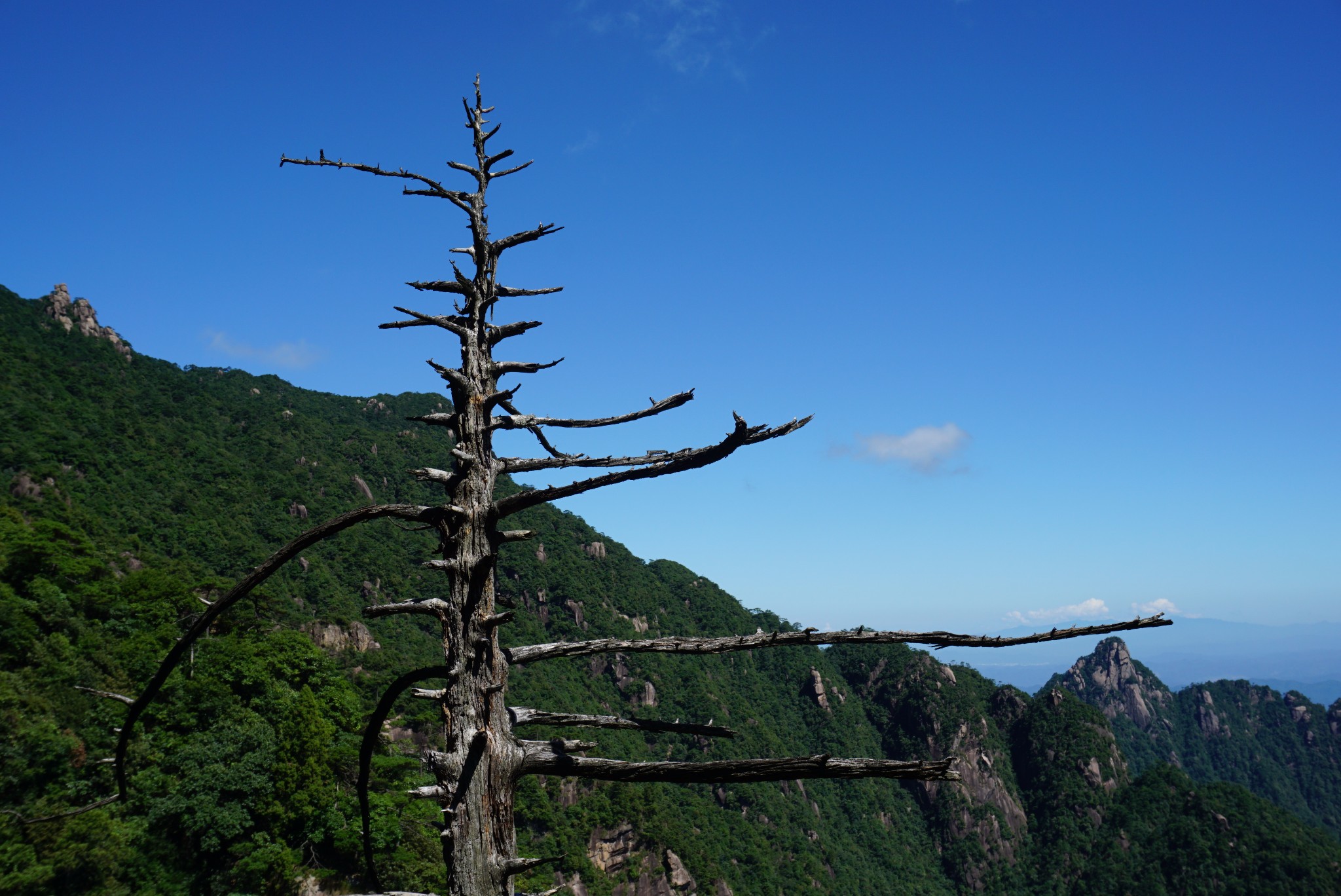 三清山自助遊攻略