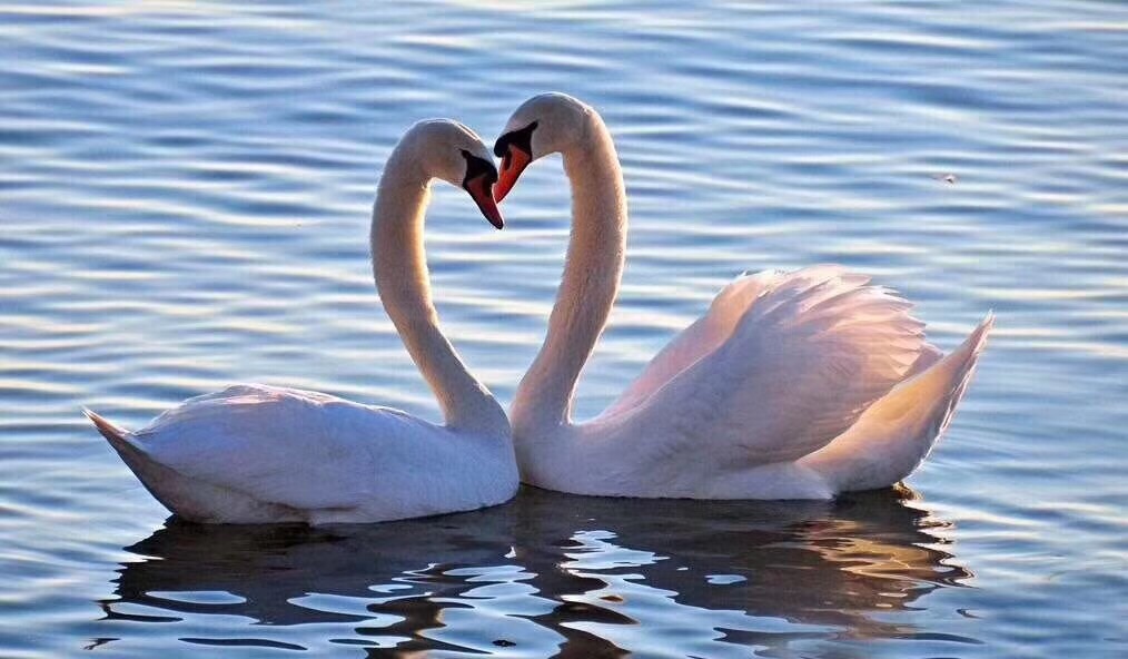 "我要走,你不留,就错过了",东莞自助游攻略 - 马蜂窝