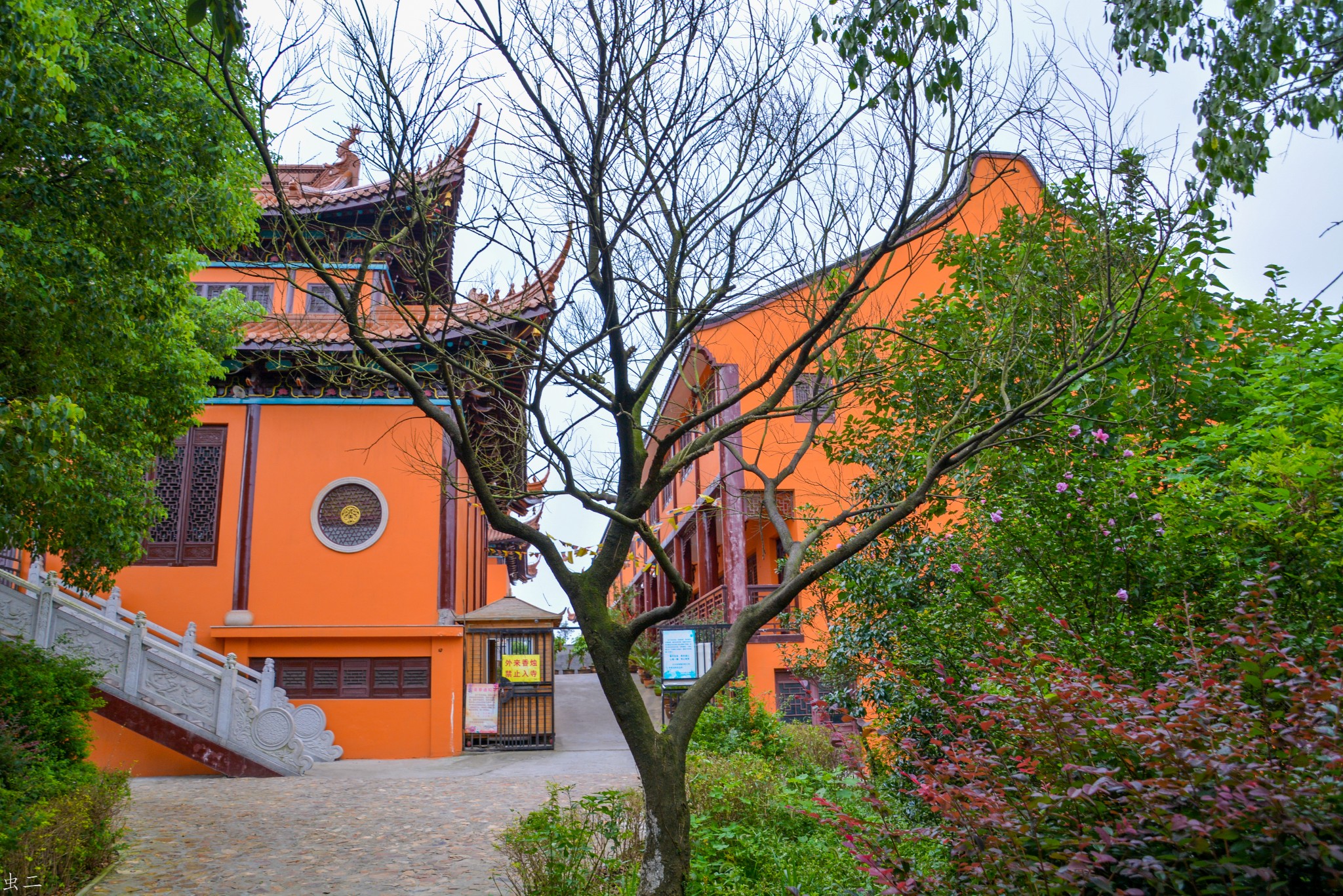 小昆山九峰禅寺图片