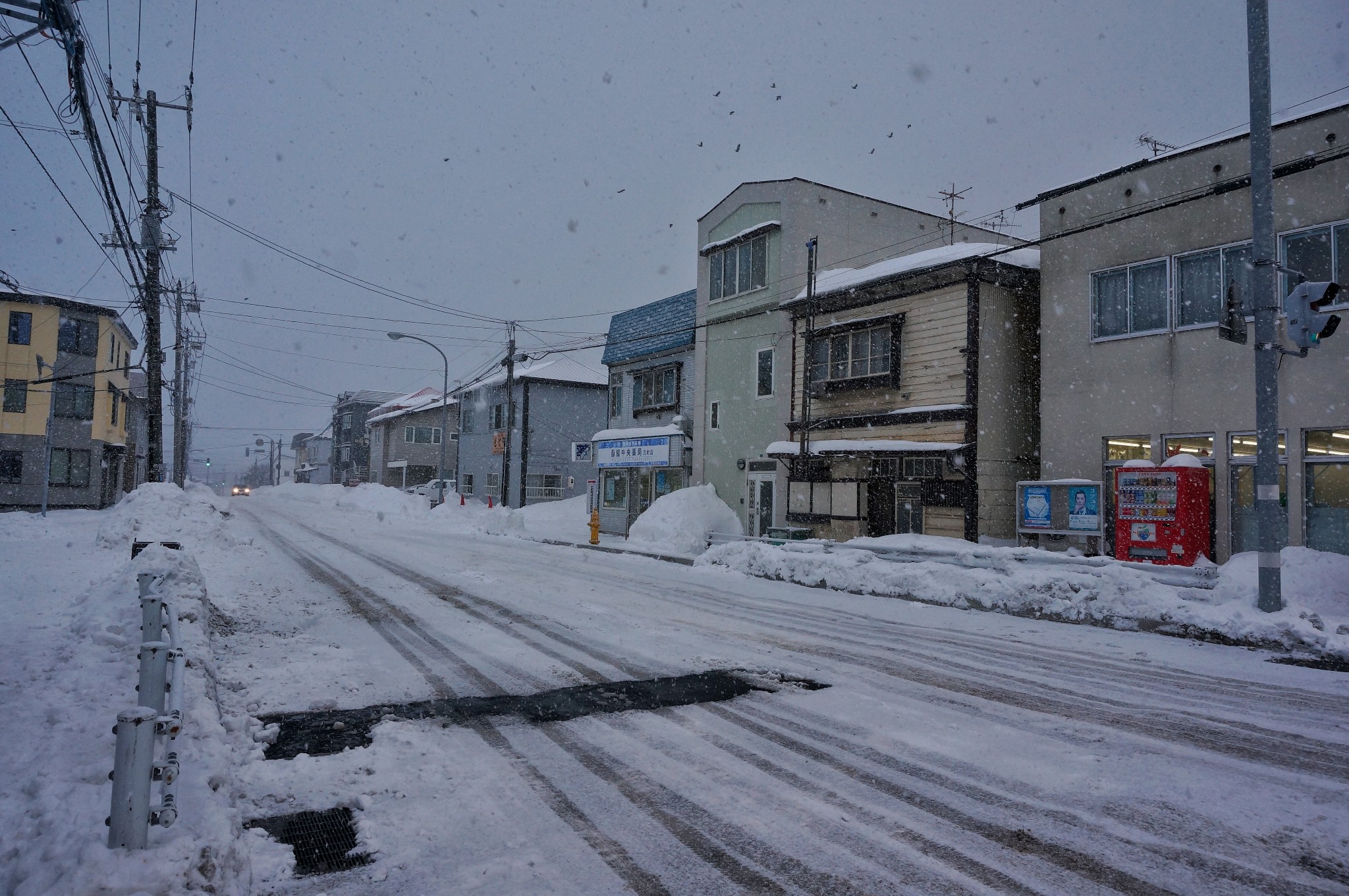 北海道自助遊攻略