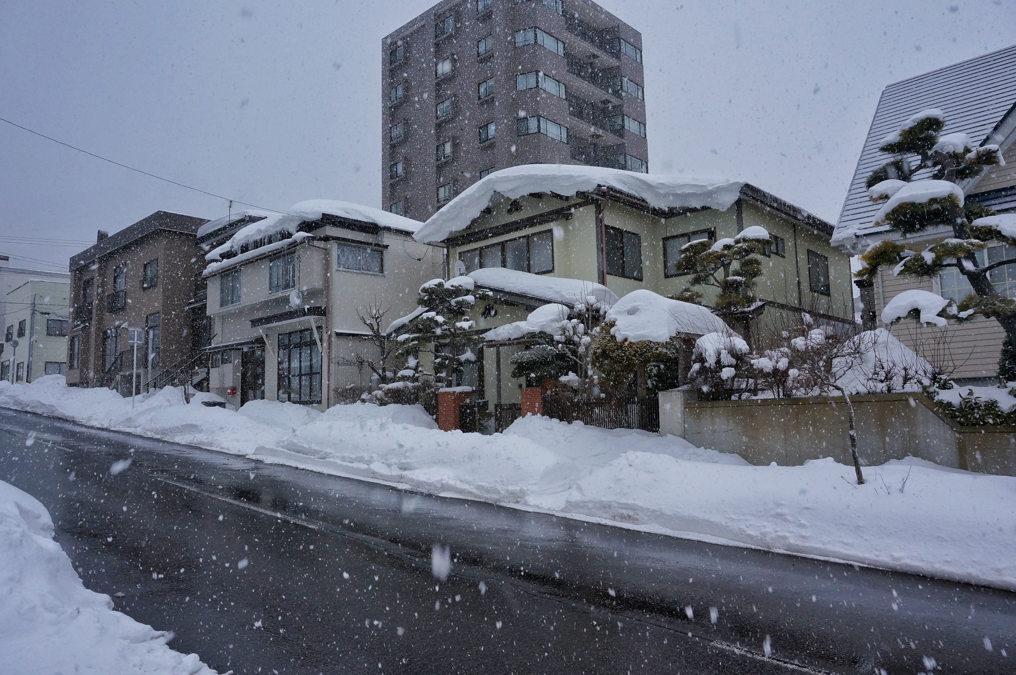 北海道自助遊攻略