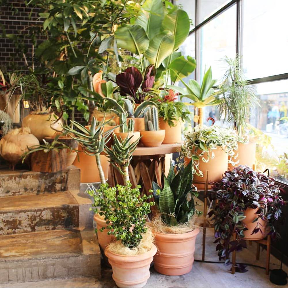 大阪orange Street 立花大道 每个潮人都梦想去的街道 手机马蜂窝