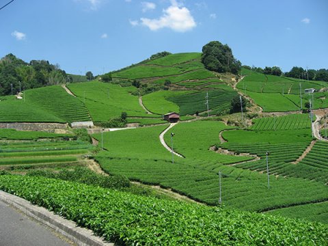 木津川市