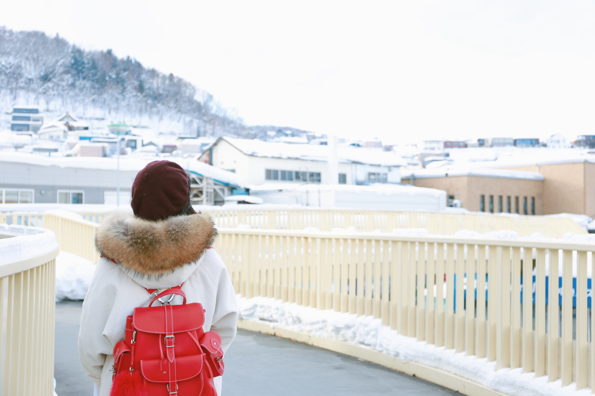 北海道自助遊攻略