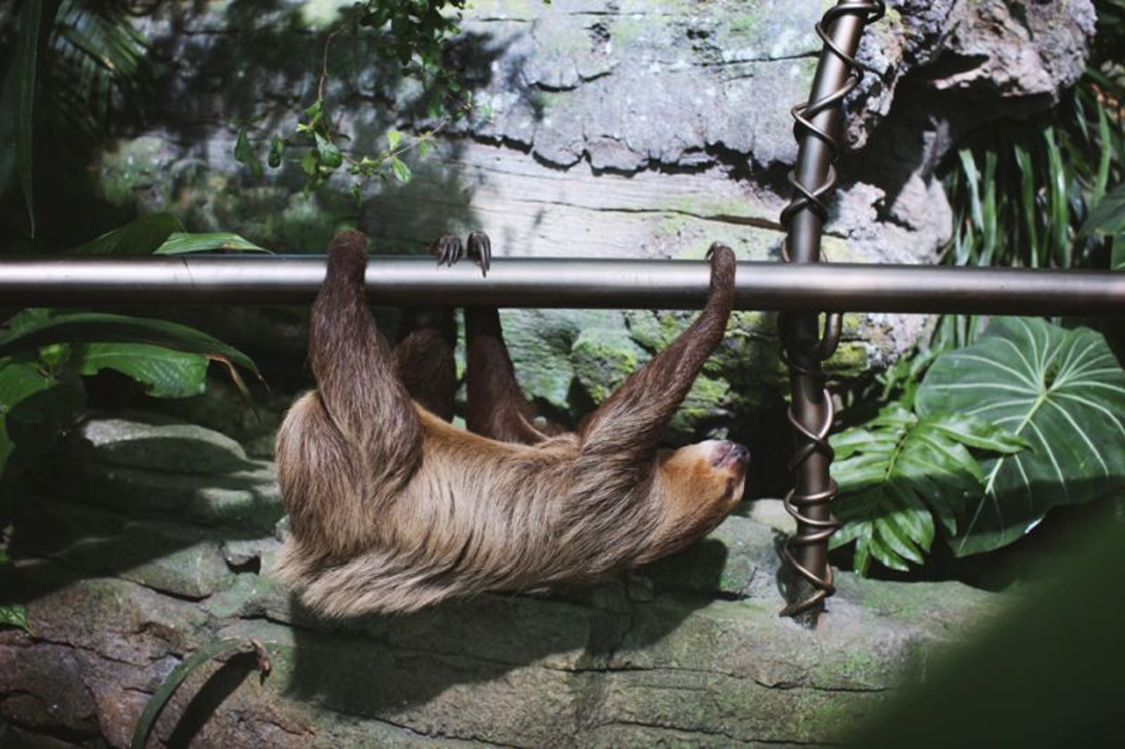 下单立即出票/迪拜绿色星球门票(电子票无需兑换 扫码入园)