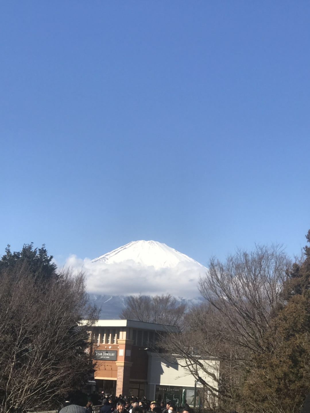 19 1 12 1 17日本静冈 清水 沼津 御殿场 名古屋吃逛买 静冈自助游攻略 马蜂窝