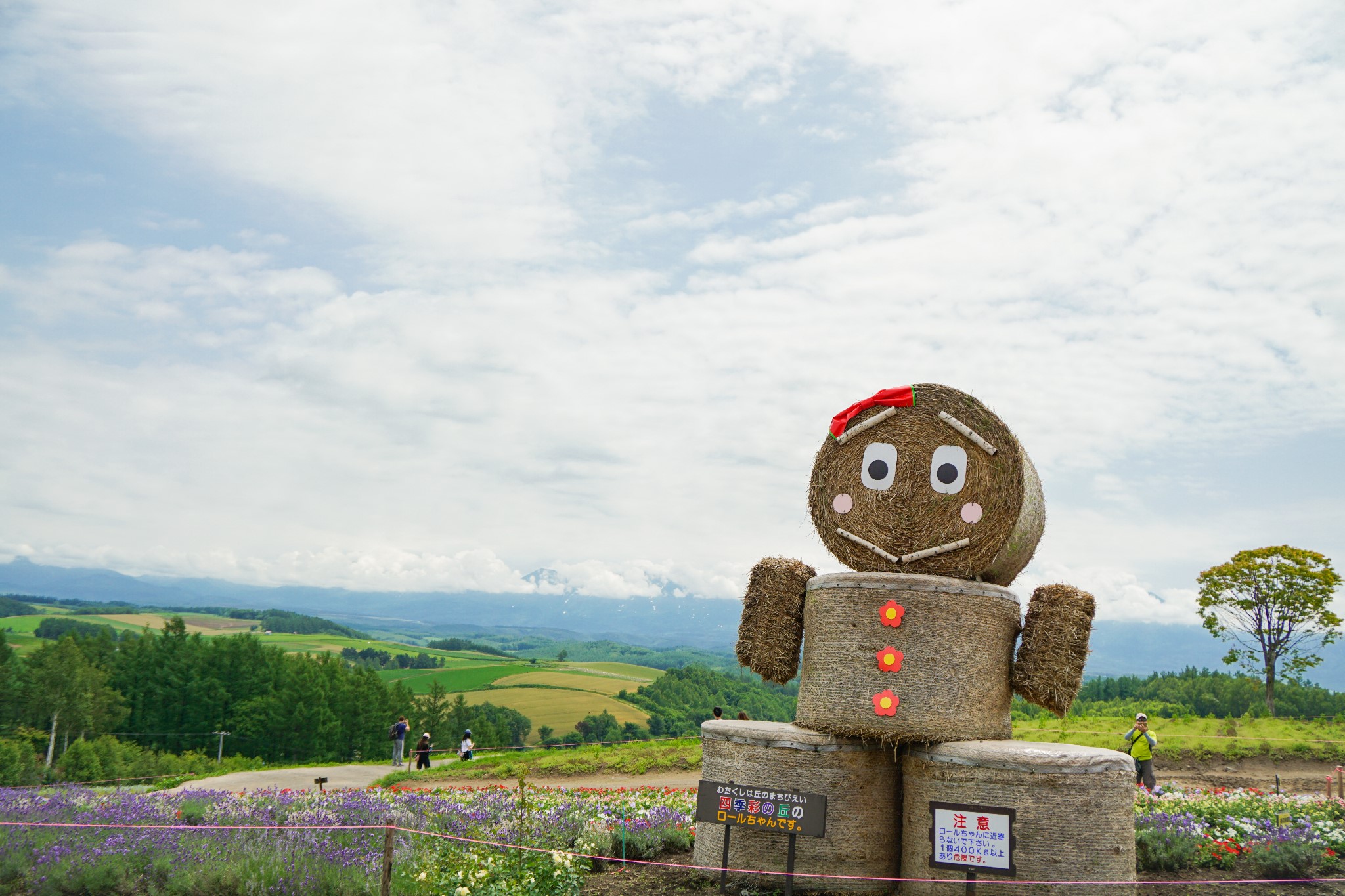 北海道自助遊攻略