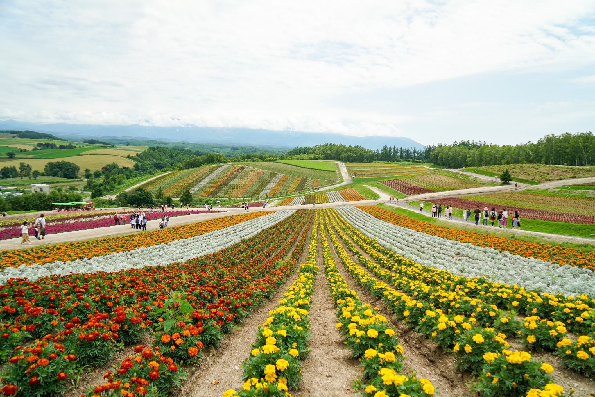 北海道自助遊攻略