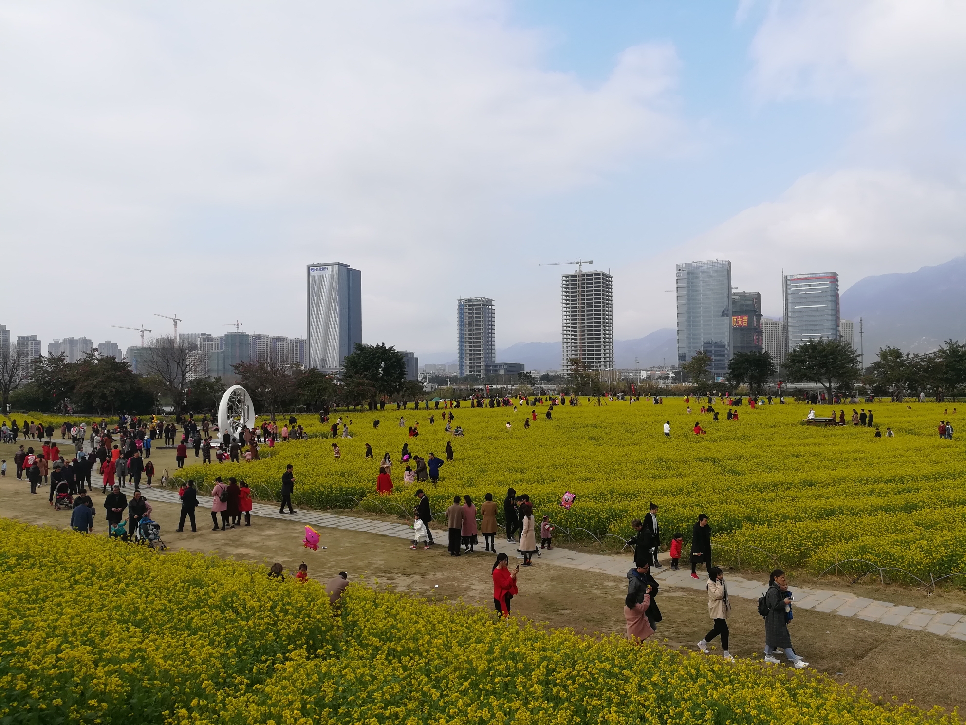 福州篇花海公園油菜花