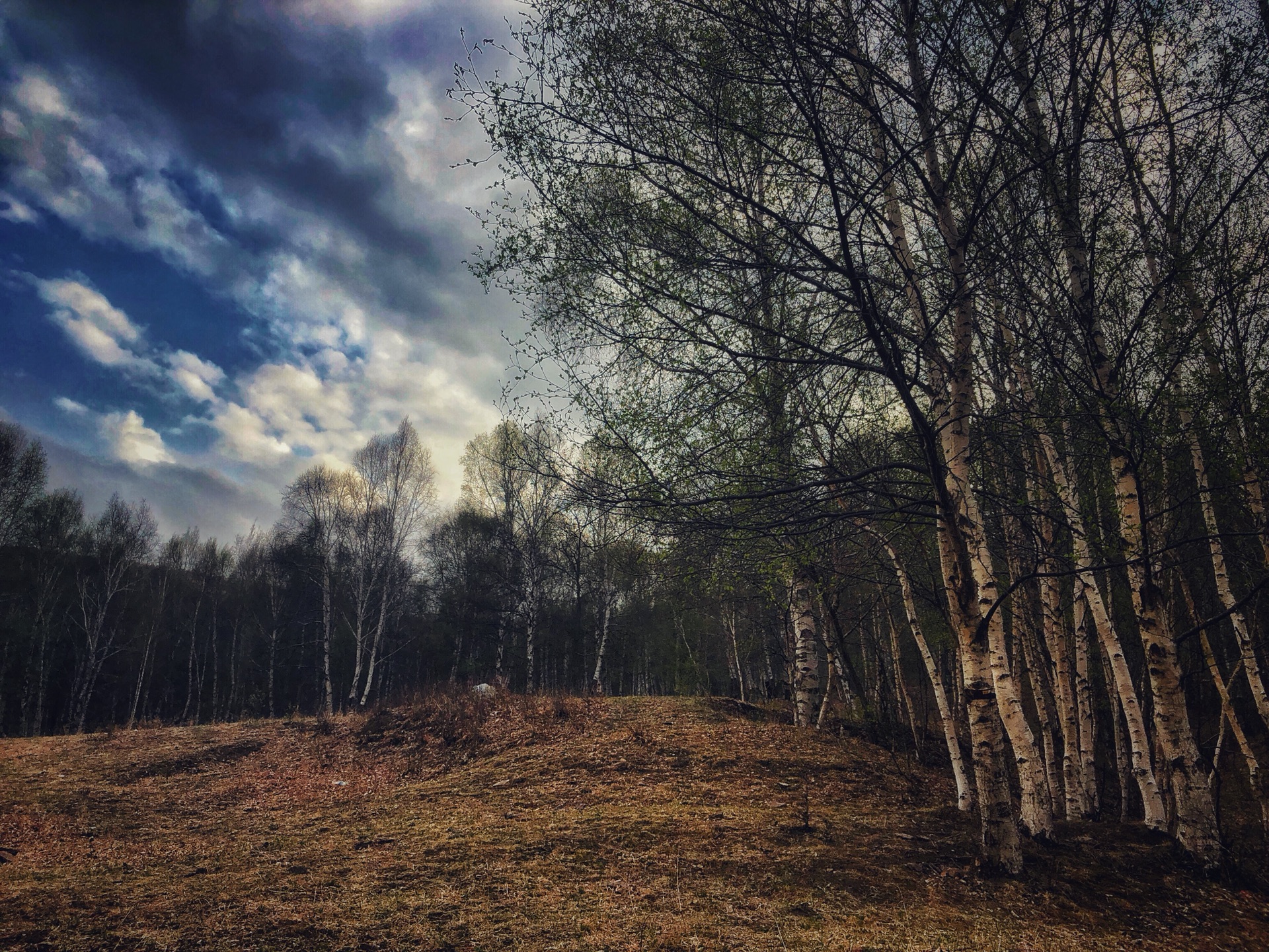 五一美林谷错峰重游