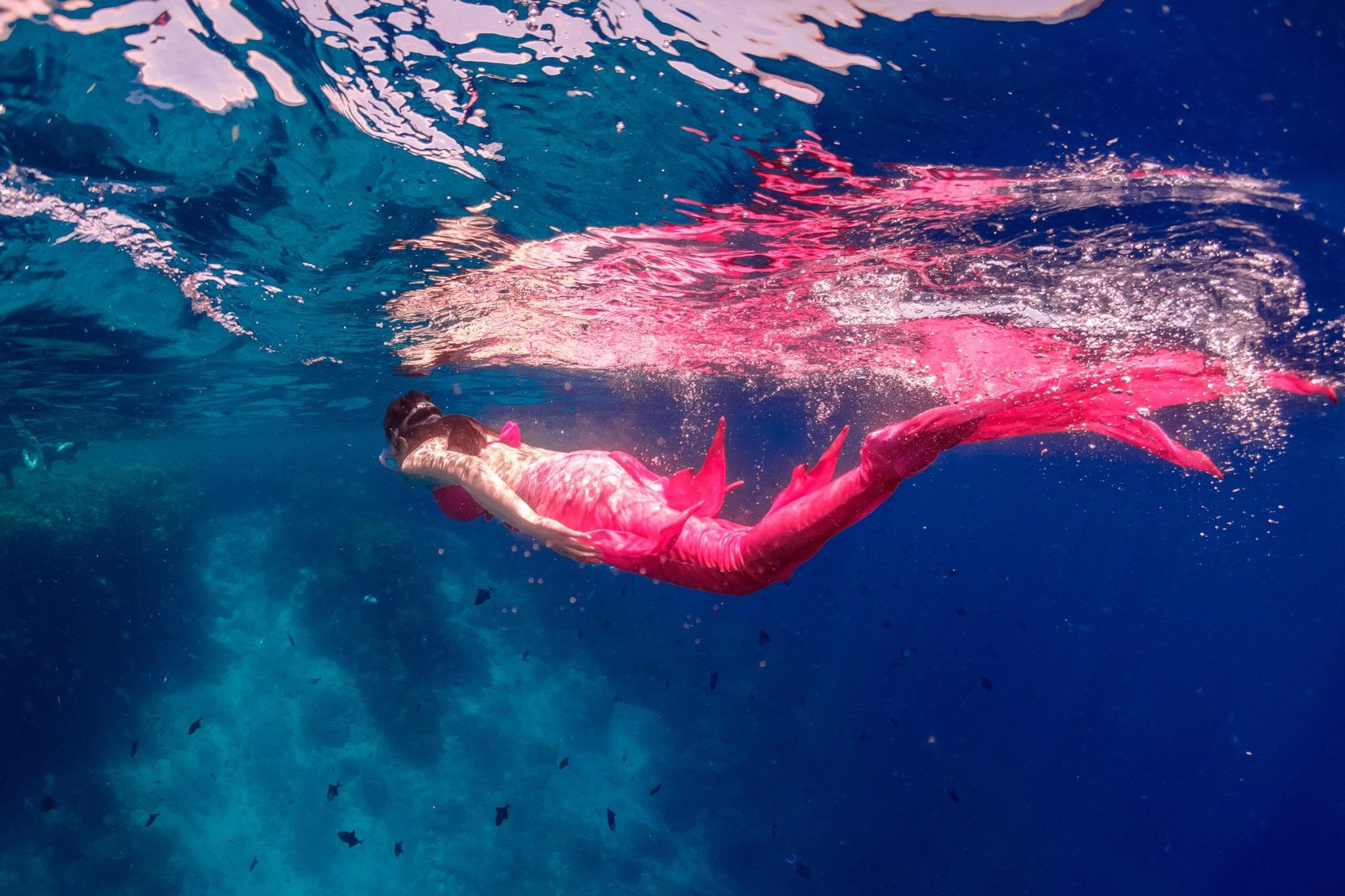 在美娜多我变成了一条鱼